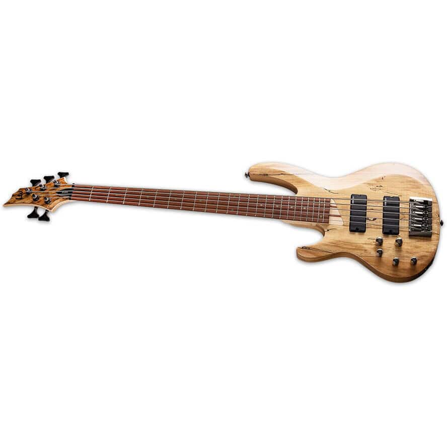 ESP B-205 SM NS 2