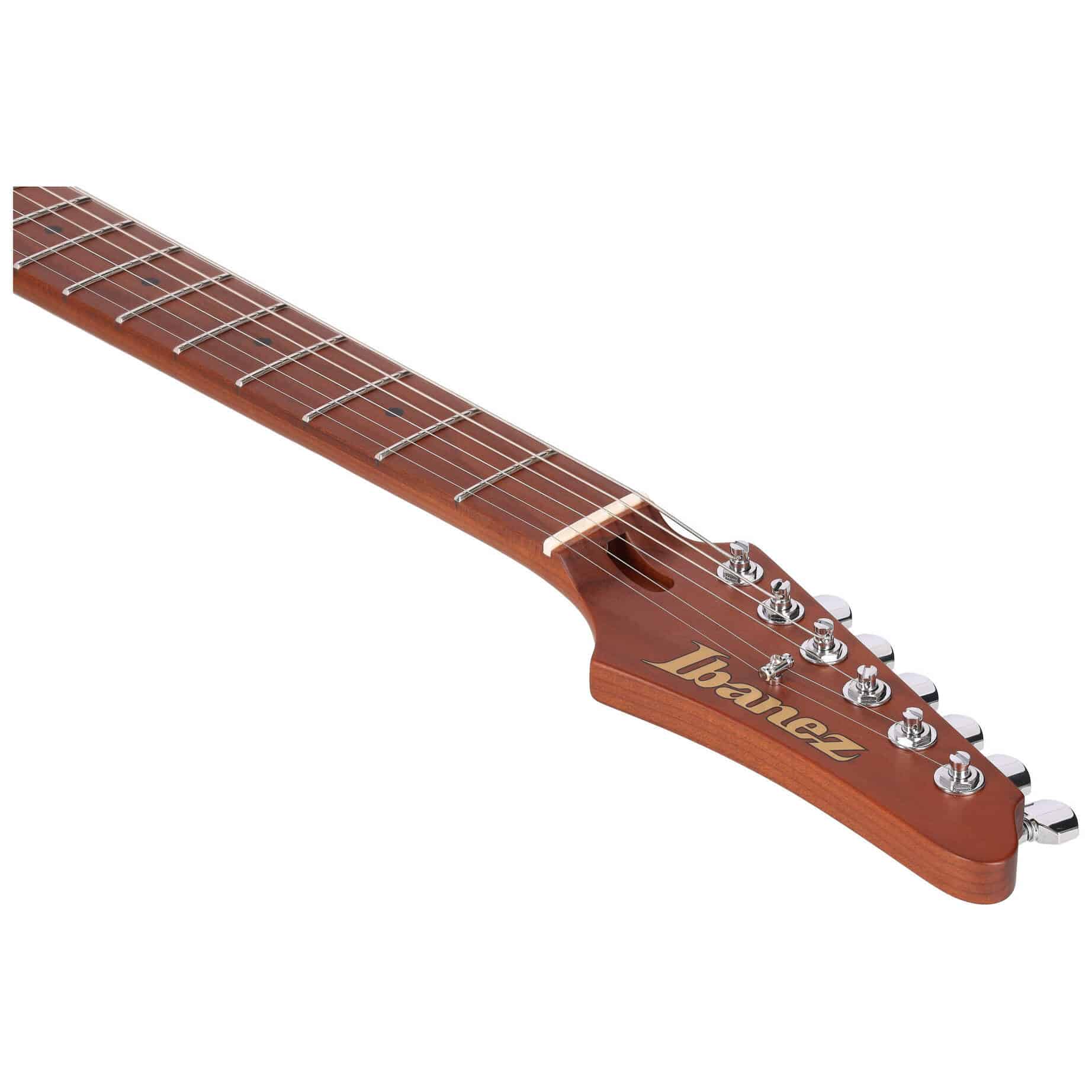 Ibanez AZ2402-BKF 14