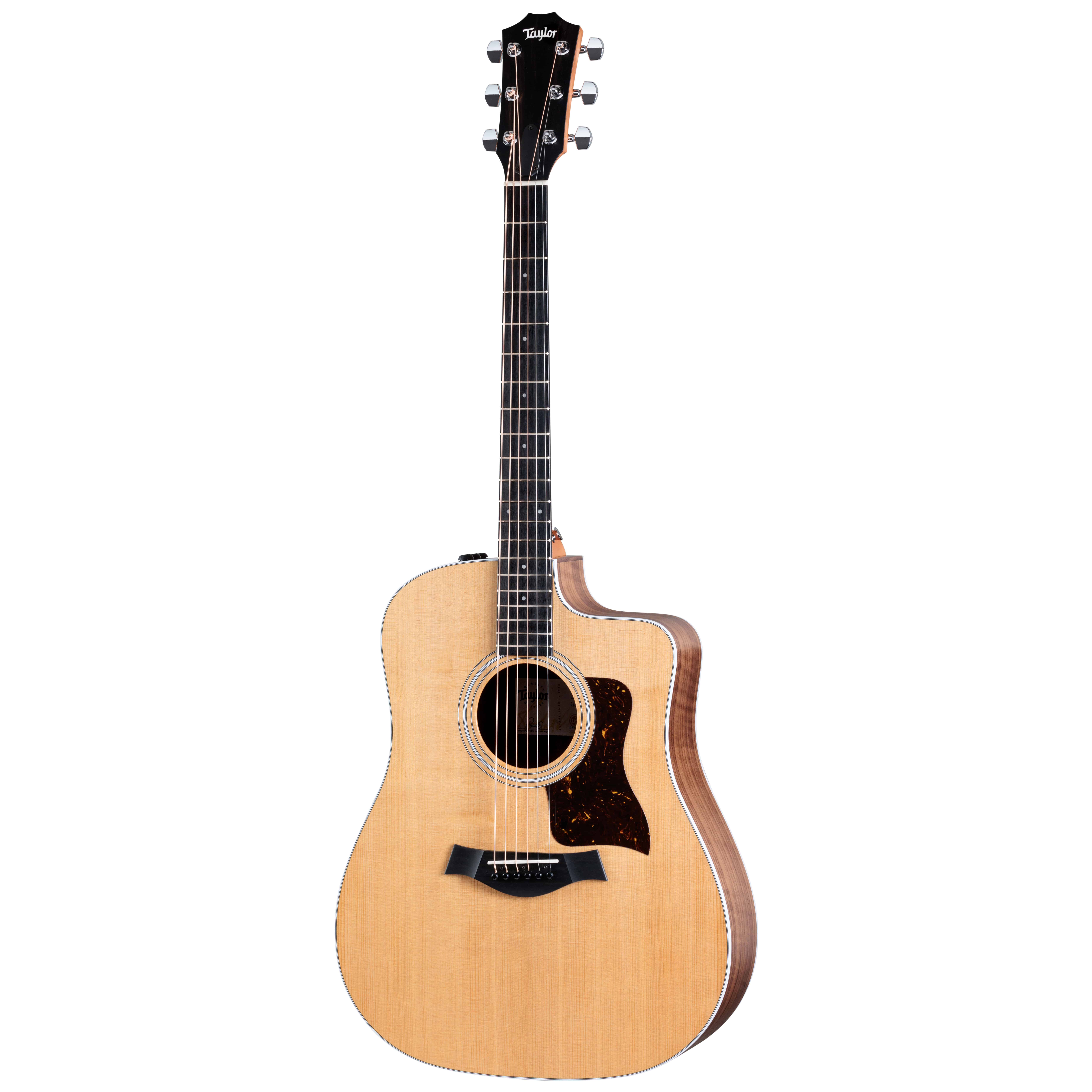 Taylor 210ce Walnut Spruce 2