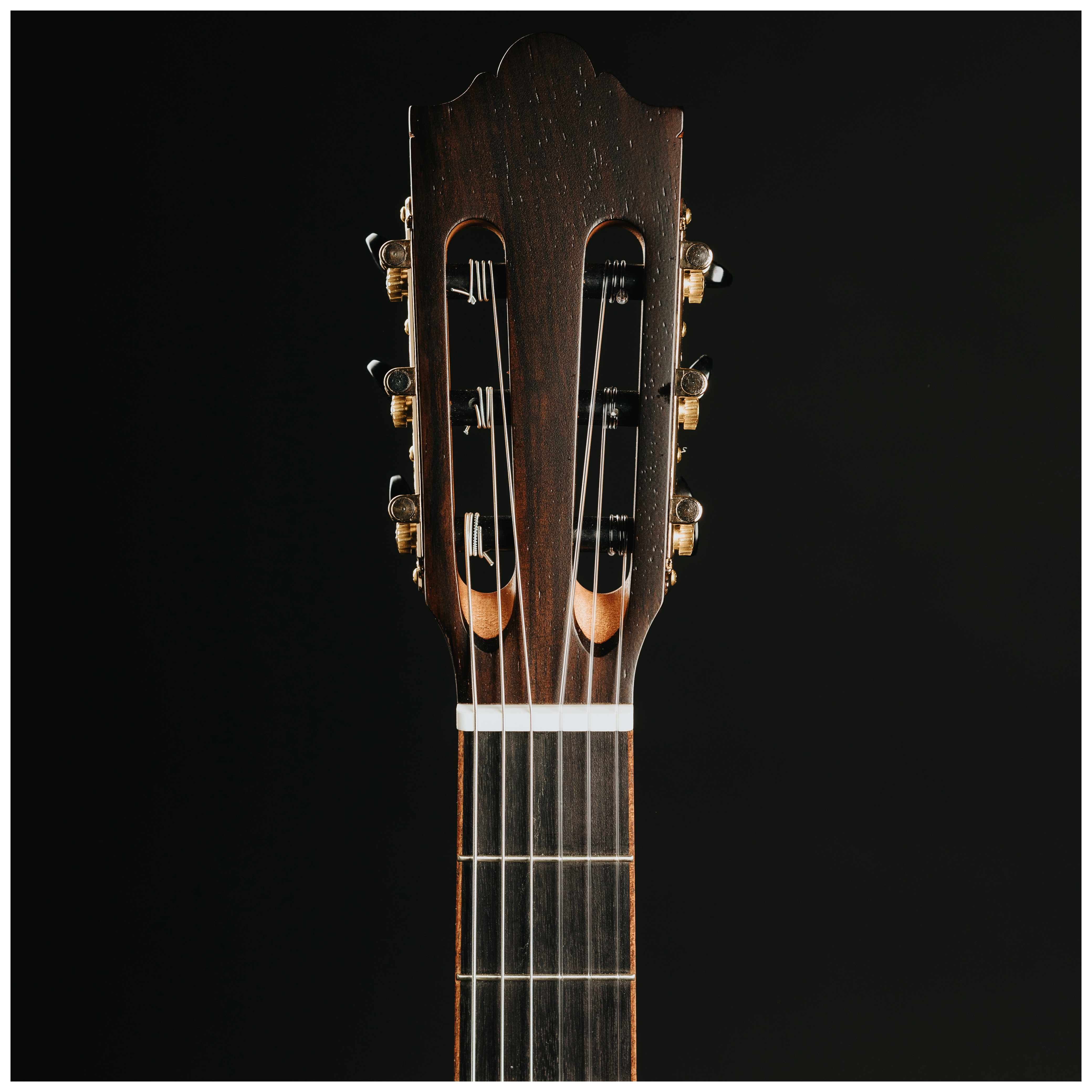 Redwood Cantora Plus 4/4 SM Satin Black 18