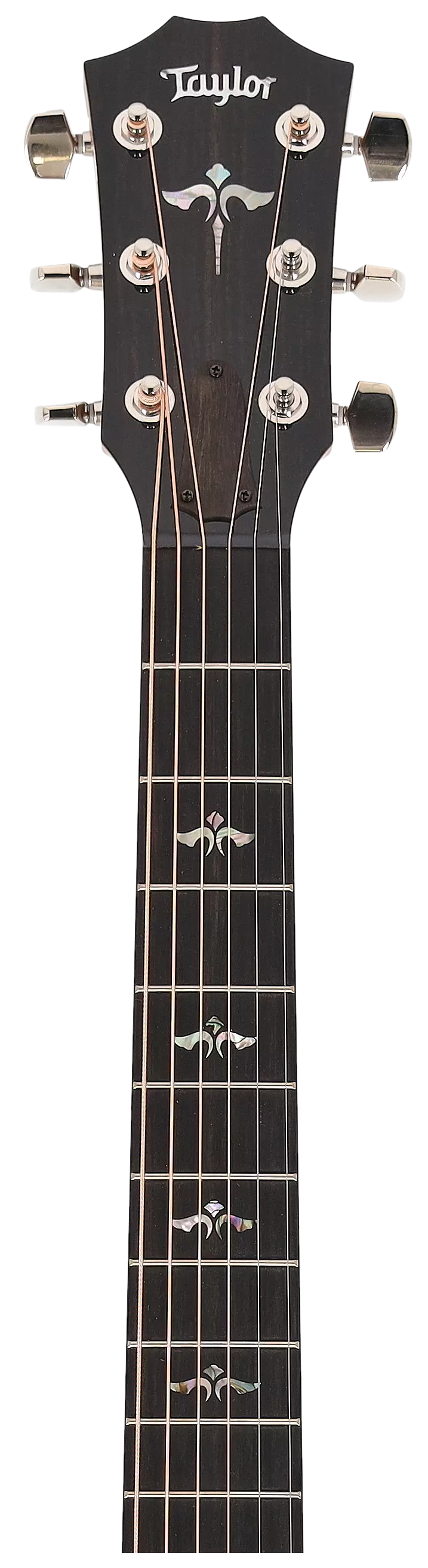 Taylor 614ce Next Generation 11