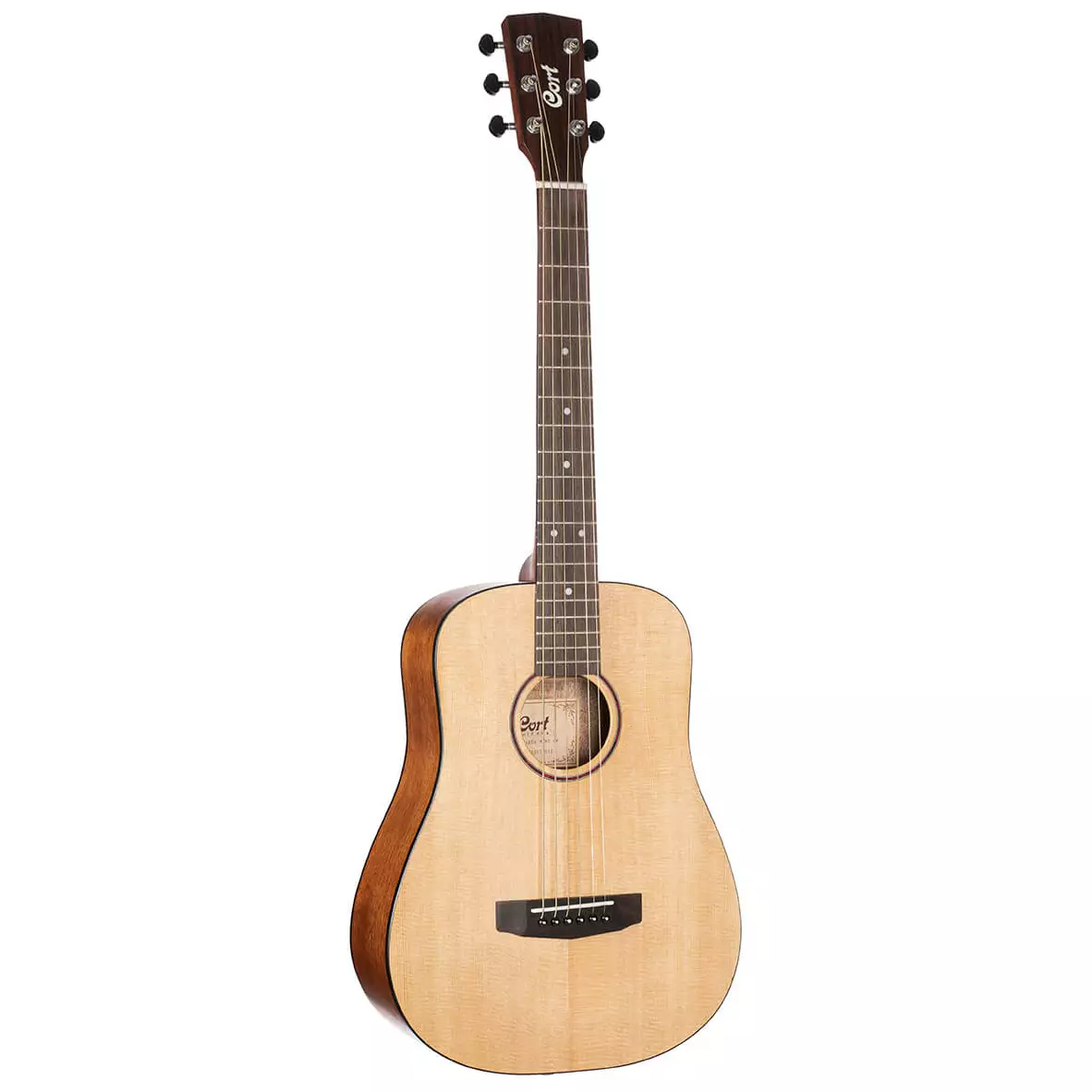 Cort Earth Mini