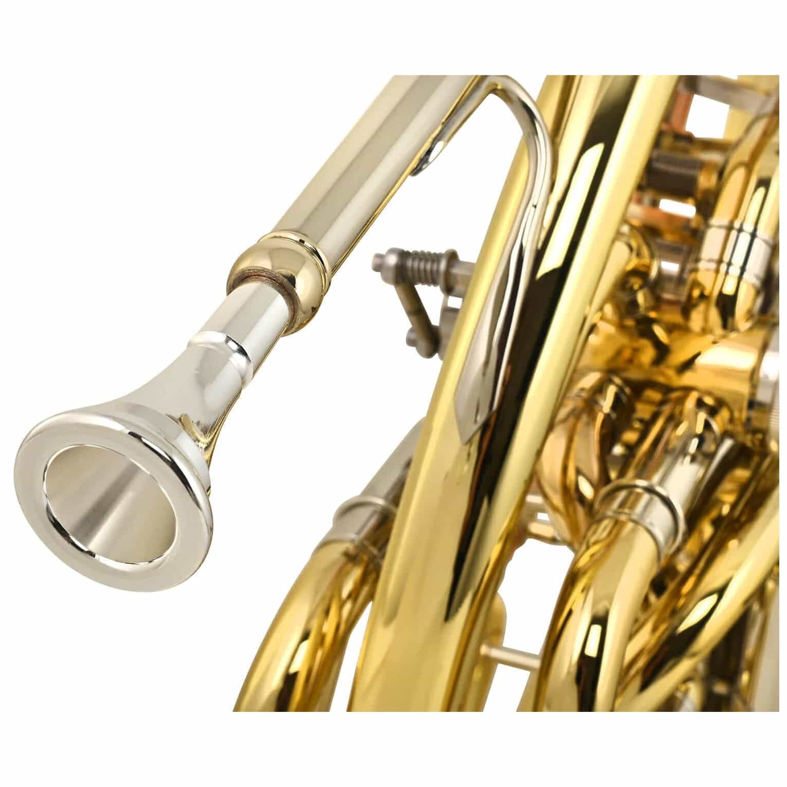 Chicago Winds - Chicago Winds CC-HR5200L Doppelwaldhorn - 5