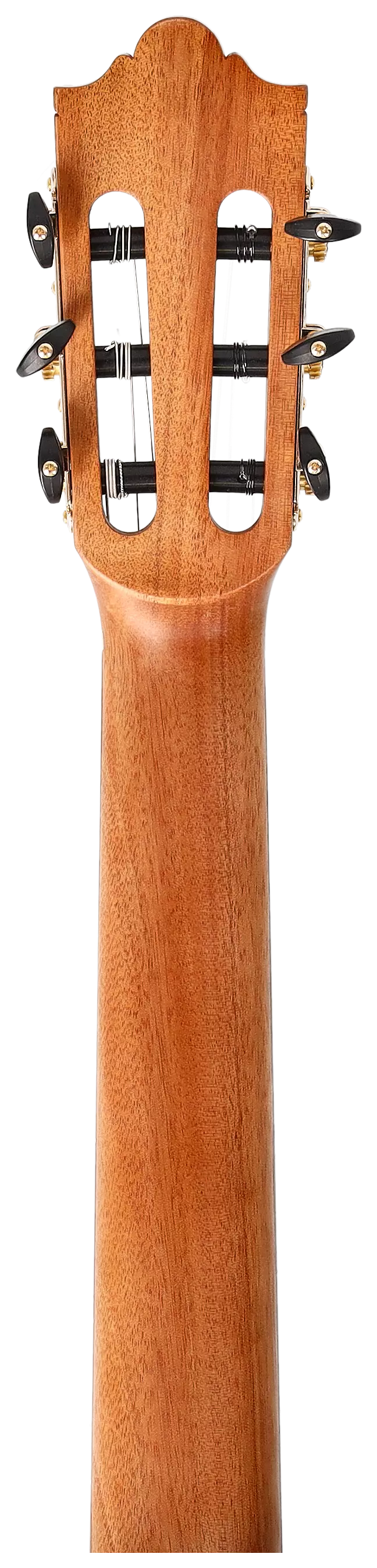 Maton Cantora Plus 4/4 LH 12