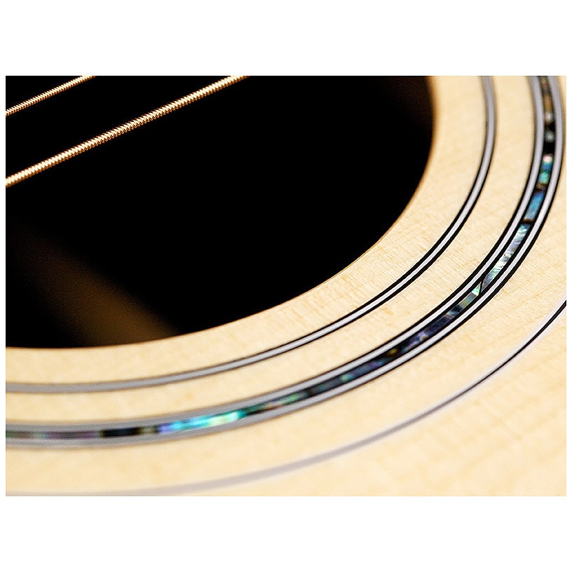 Guild D-55E 4