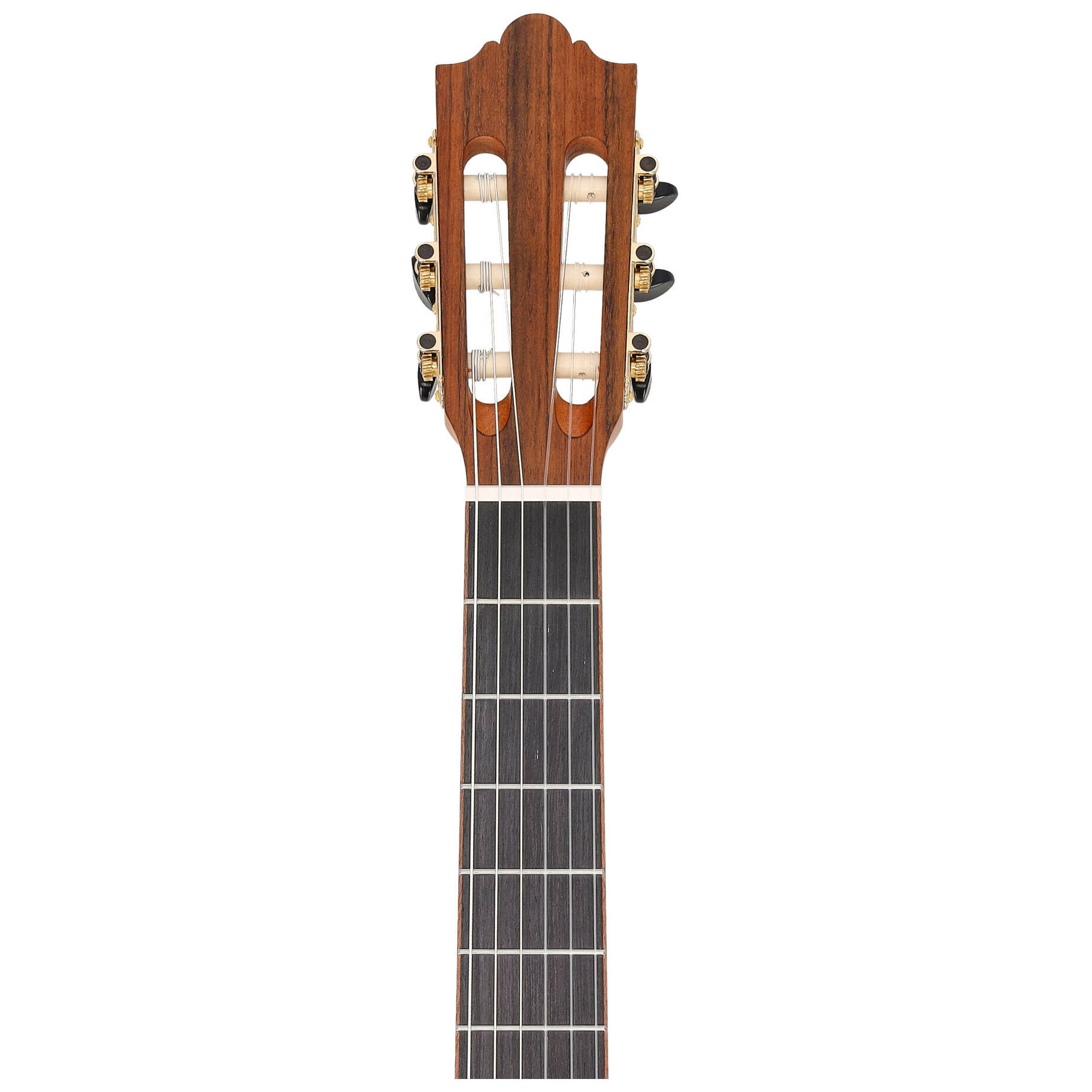 Redwood Student Plus 4/4 5