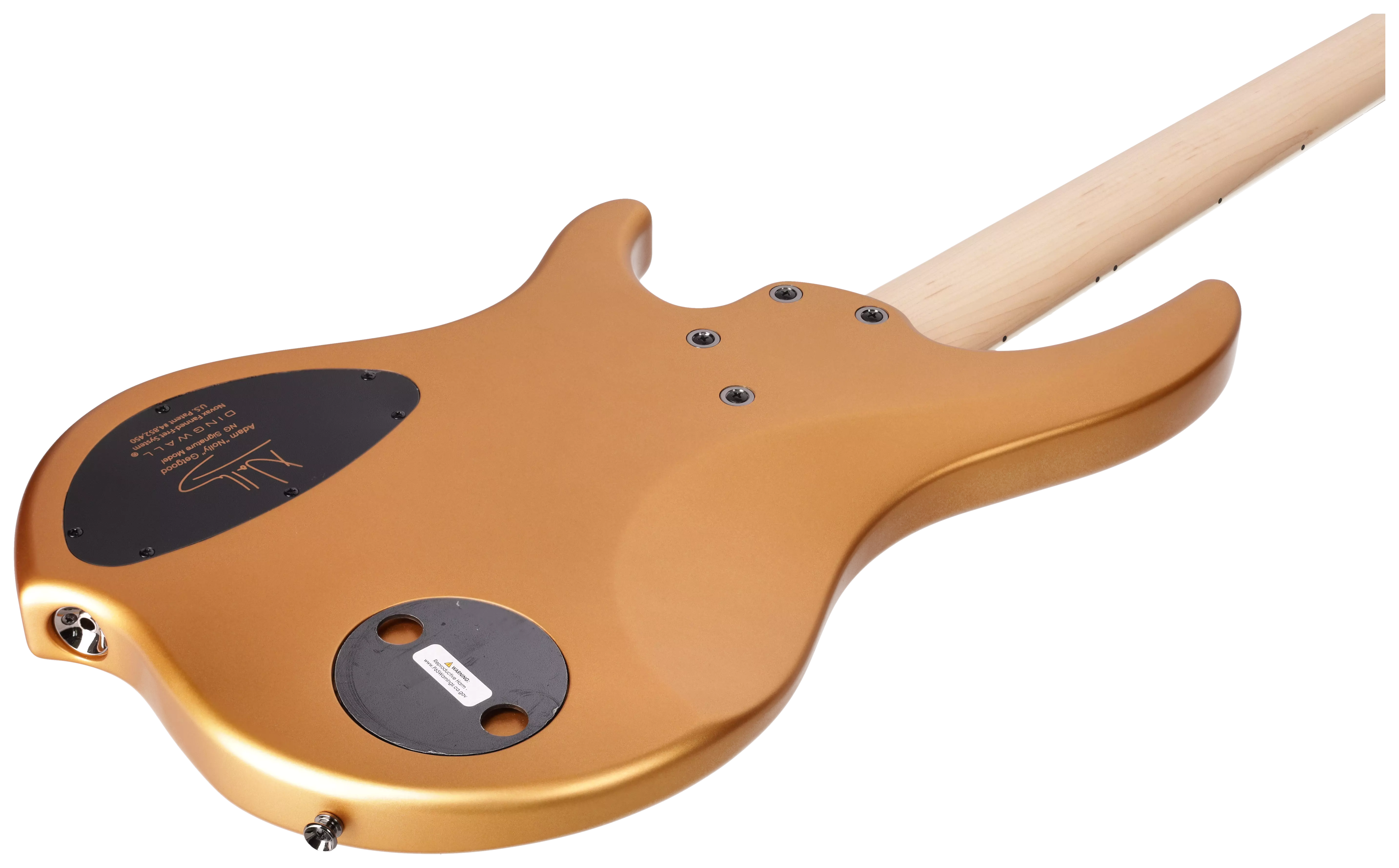 Dingwall NG-3 5-String MN GD 11