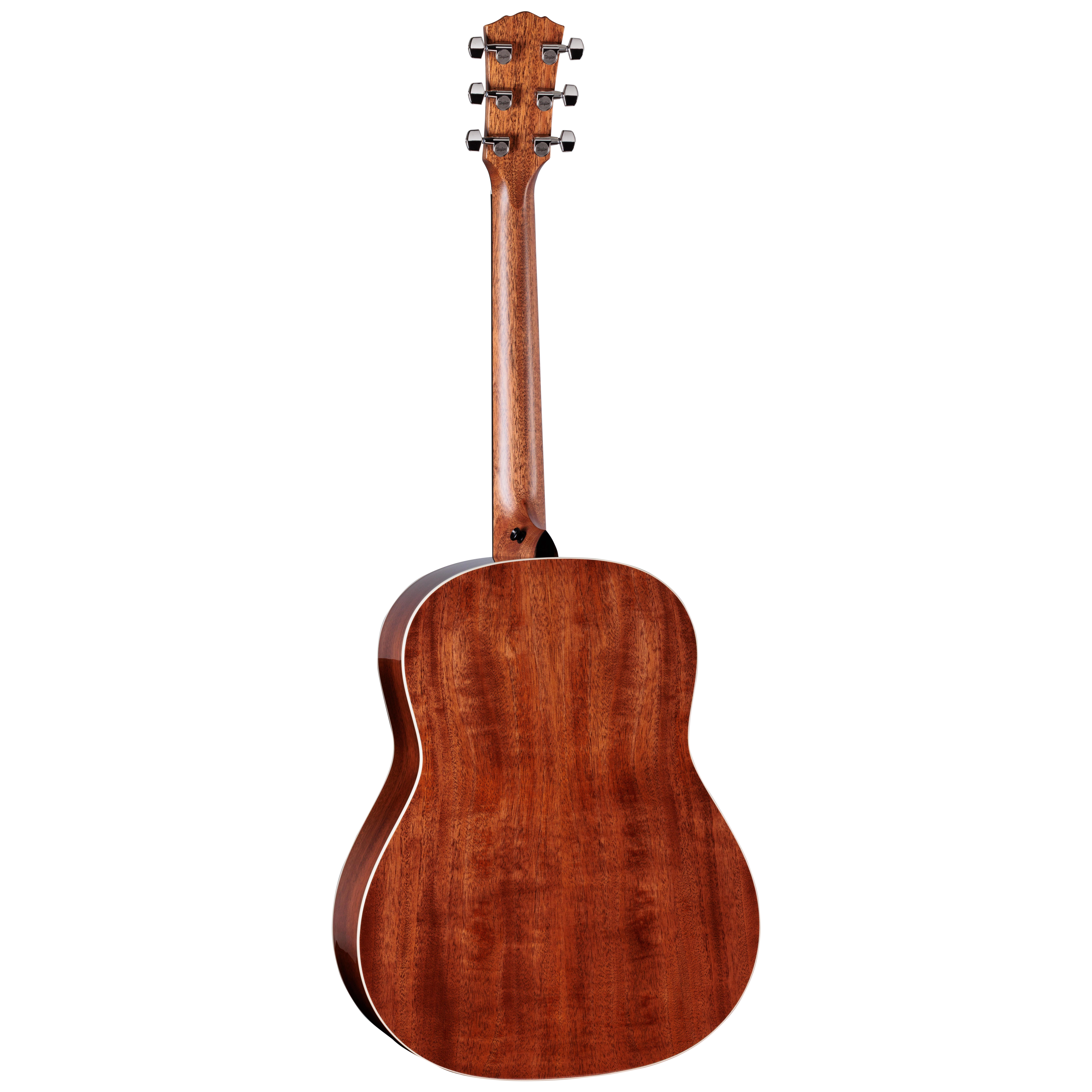 Taylor Gold Label 517e Natural 1