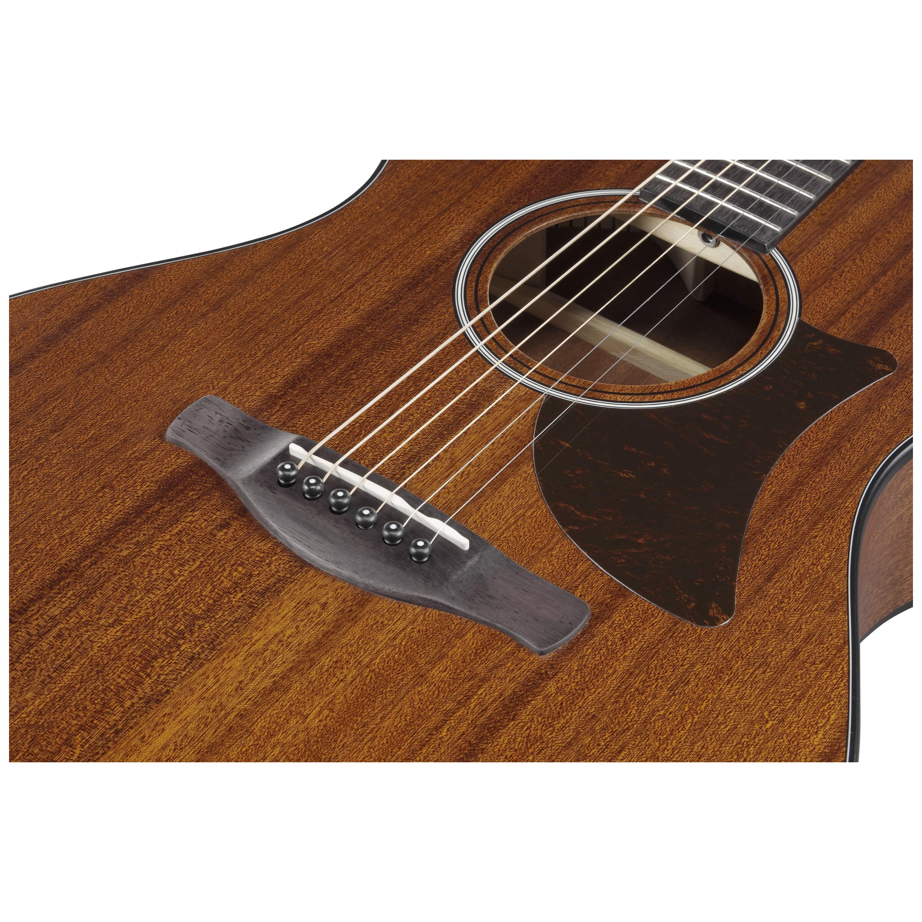 Ibanez AAM54-OPN 9