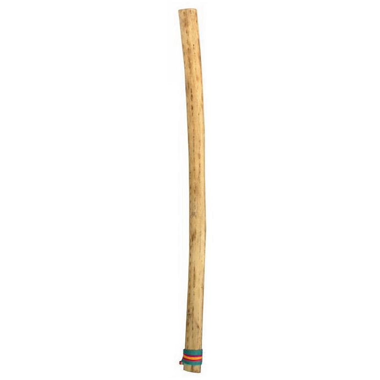 Large Kaktus Rainmaker Thin 75 cm