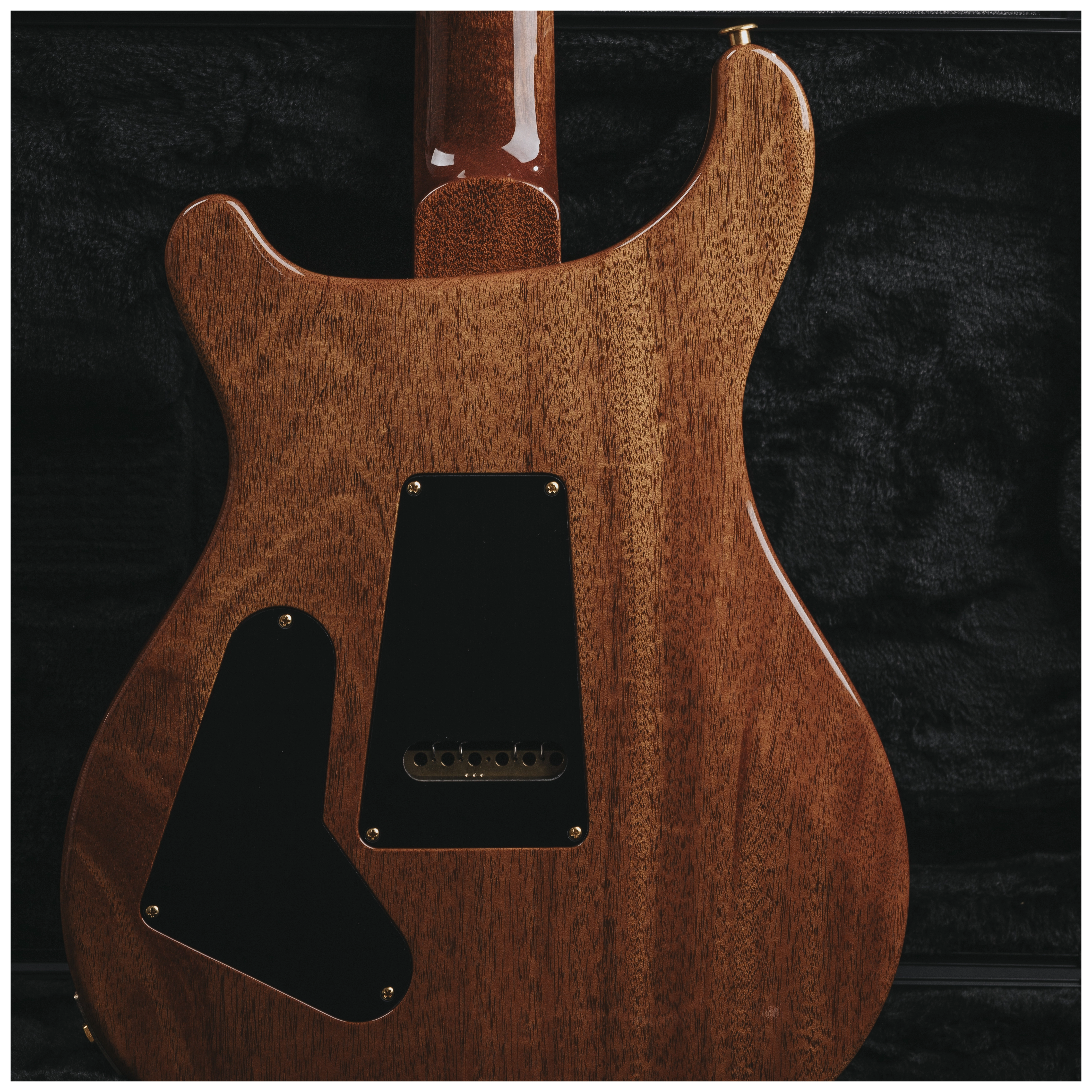 PRS Custom 24 Tiger Eye 10 Top #1 31