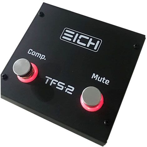 EICH Amplification TFS-2
