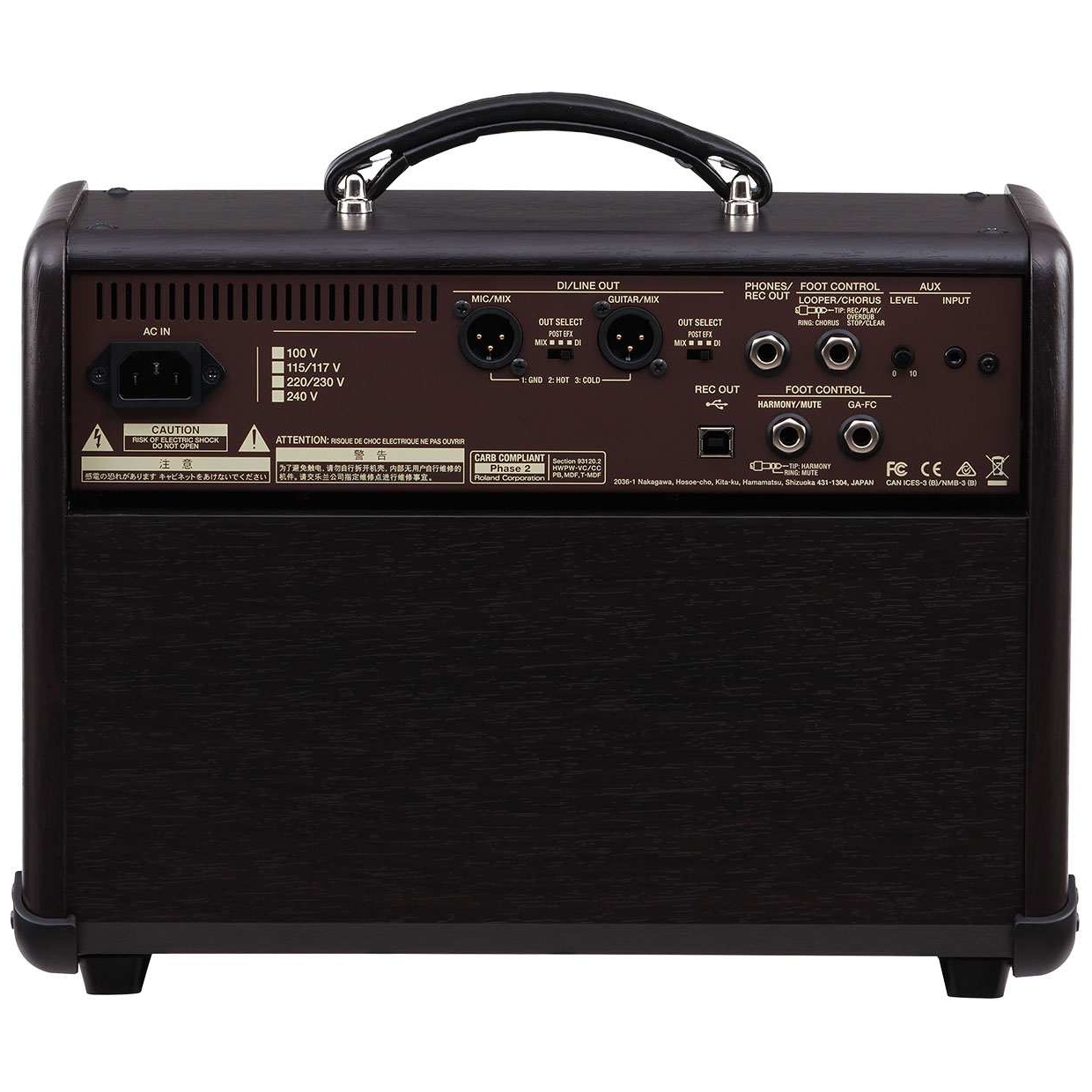 Boss - Boss Acoustic Singer Live - 3