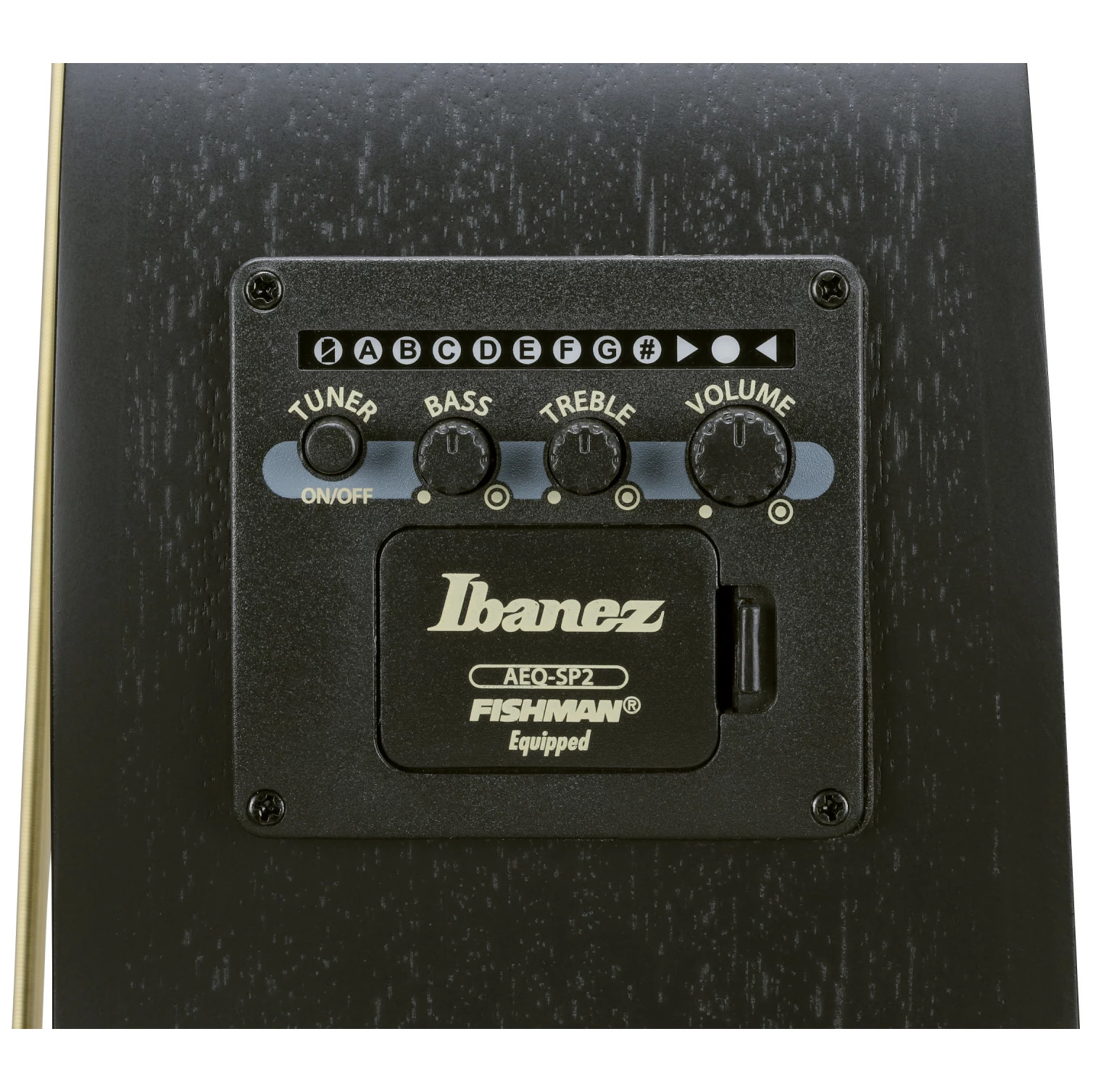 Ibanez AEWC621L-BOT 1