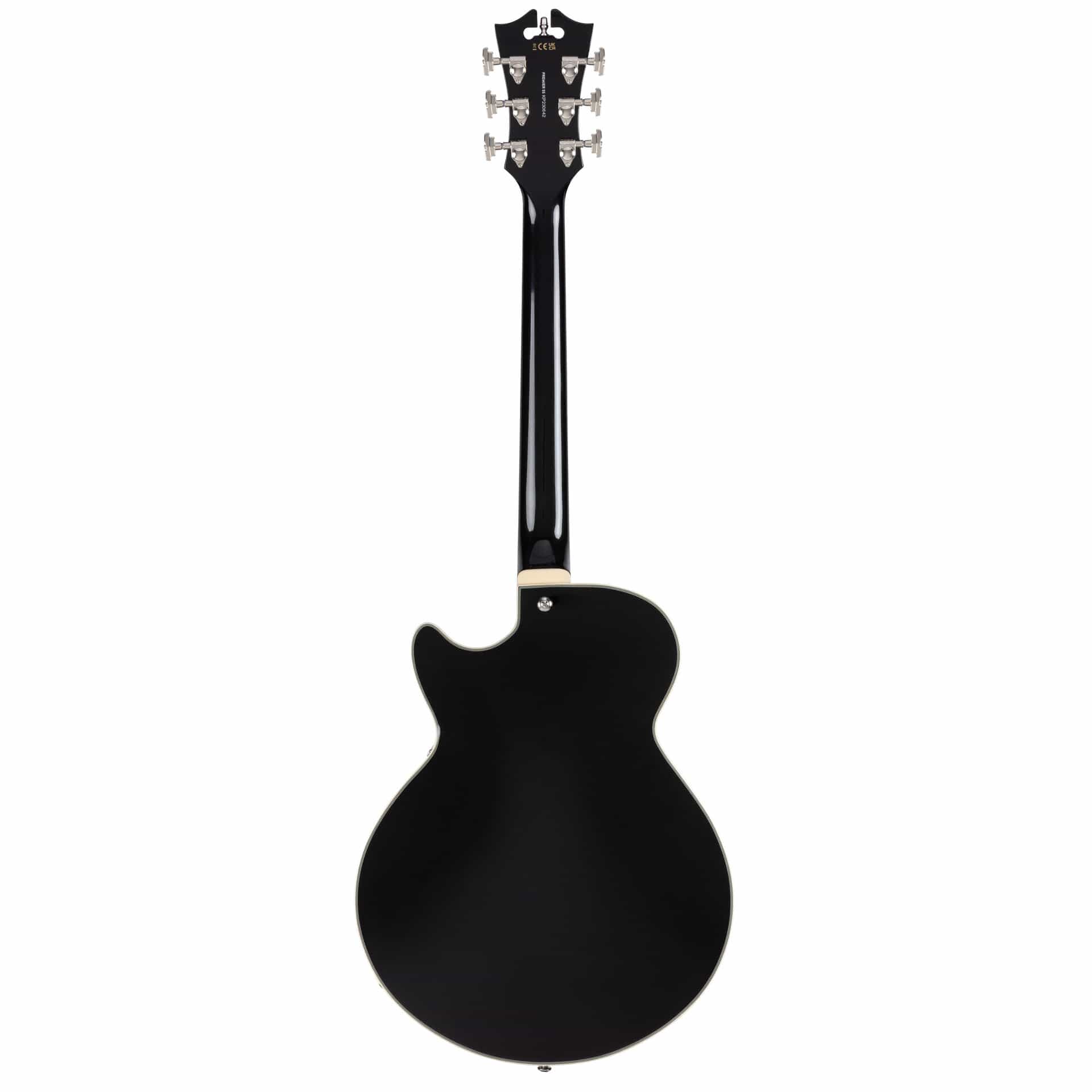 D’Angelico Guitars Premier SS Black Flake 1