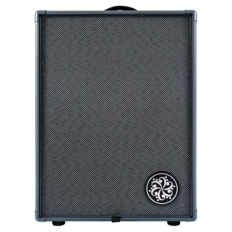 Darkglass Infinity 2x10 Combo