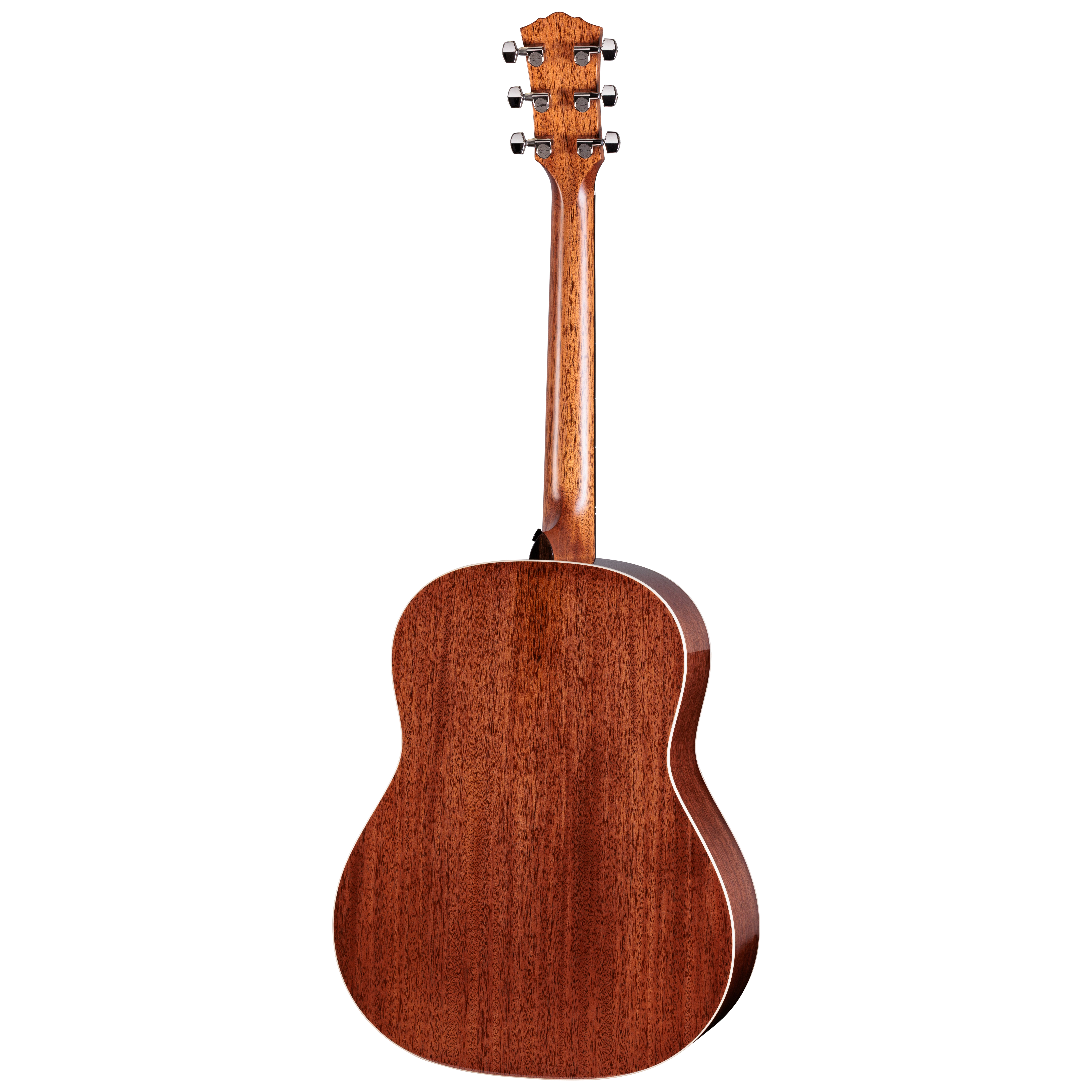 Taylor Gold Label 517e Blacktop 2