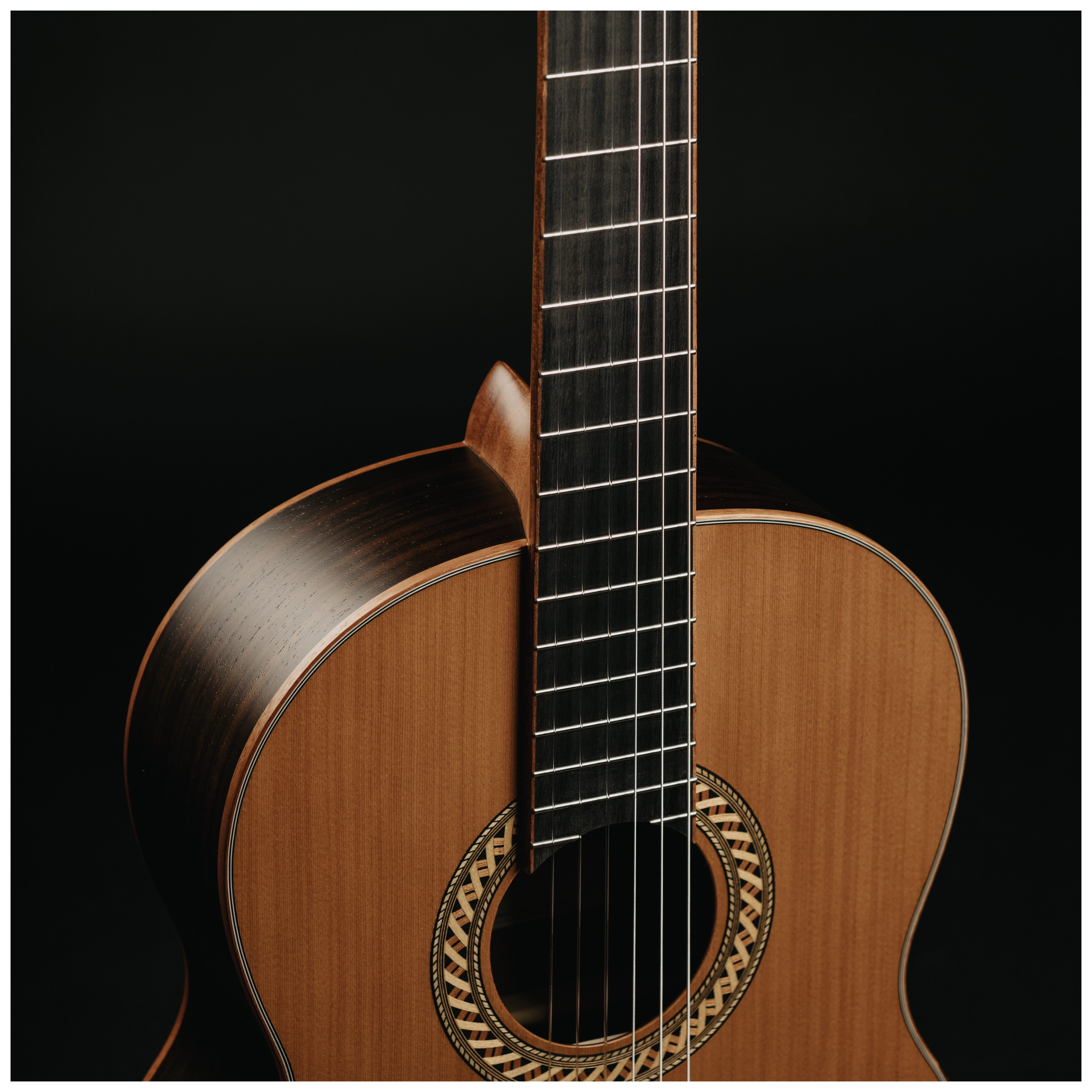 Maton Cantora Plus 4/4 LH 21