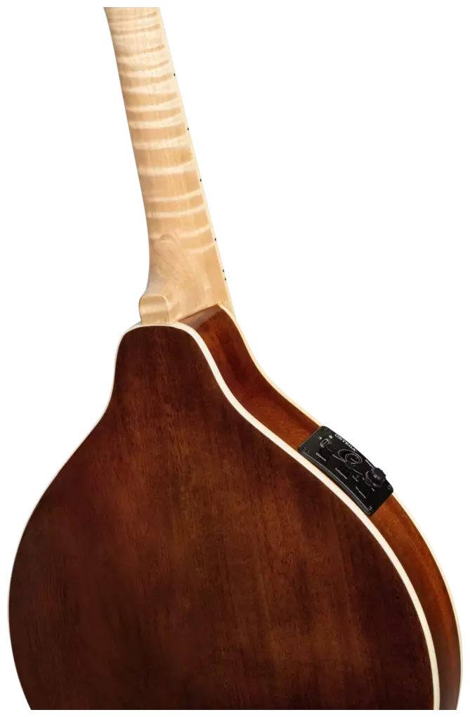 Ortega RMAE200PF 2
