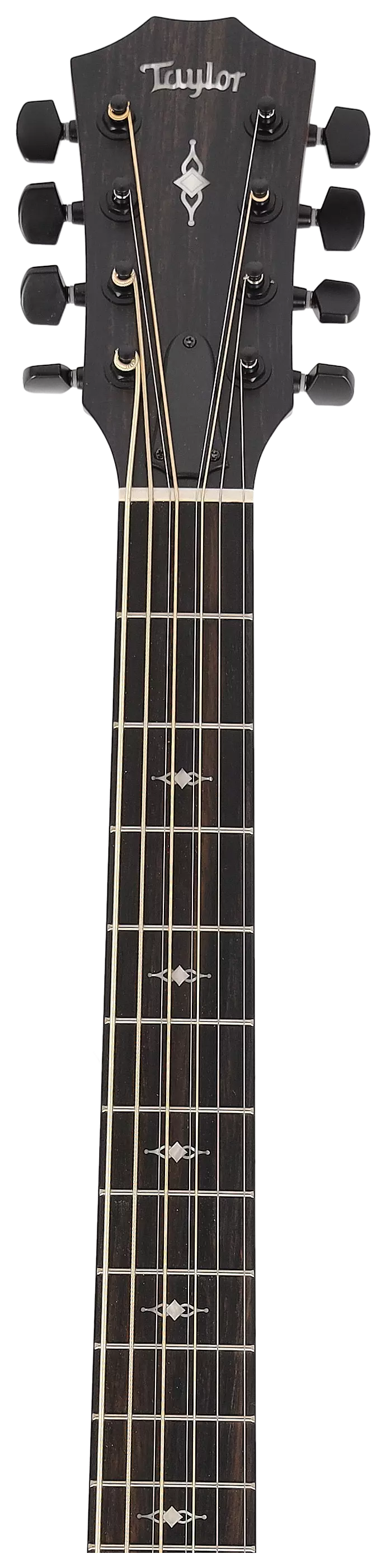 Taylor 324ce Baritone-8 LTD 11