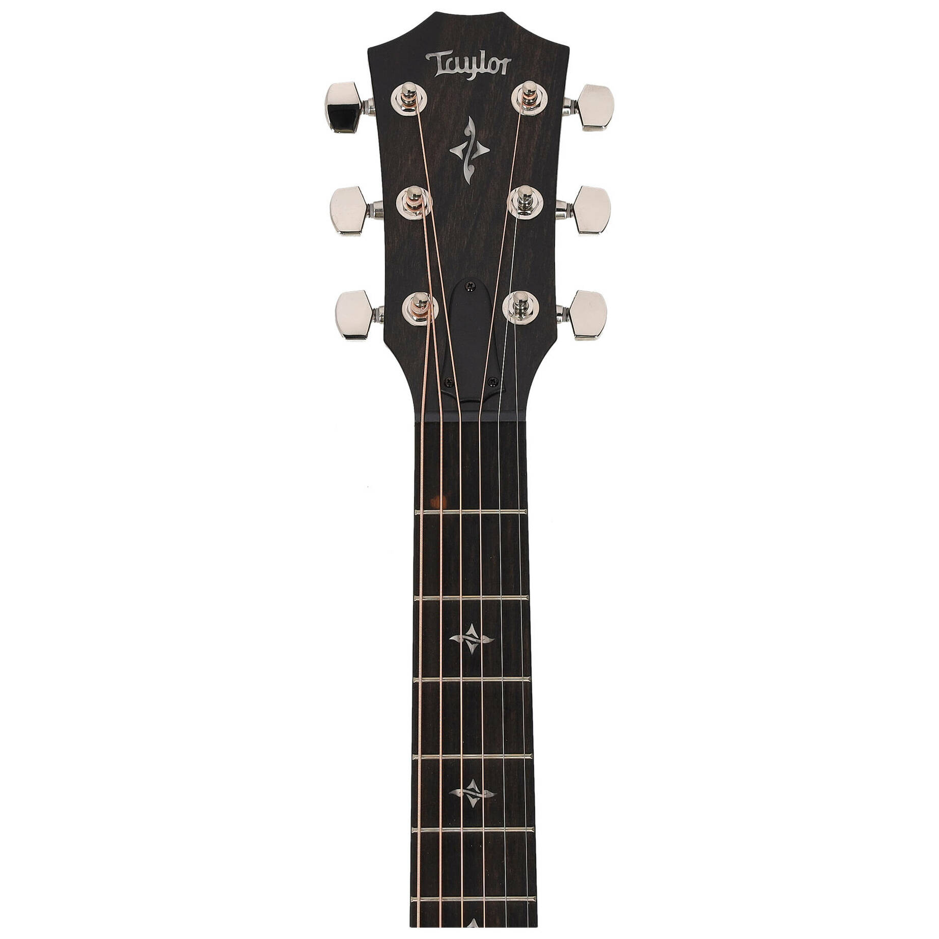 Taylor 414ce-R Natural Top 5