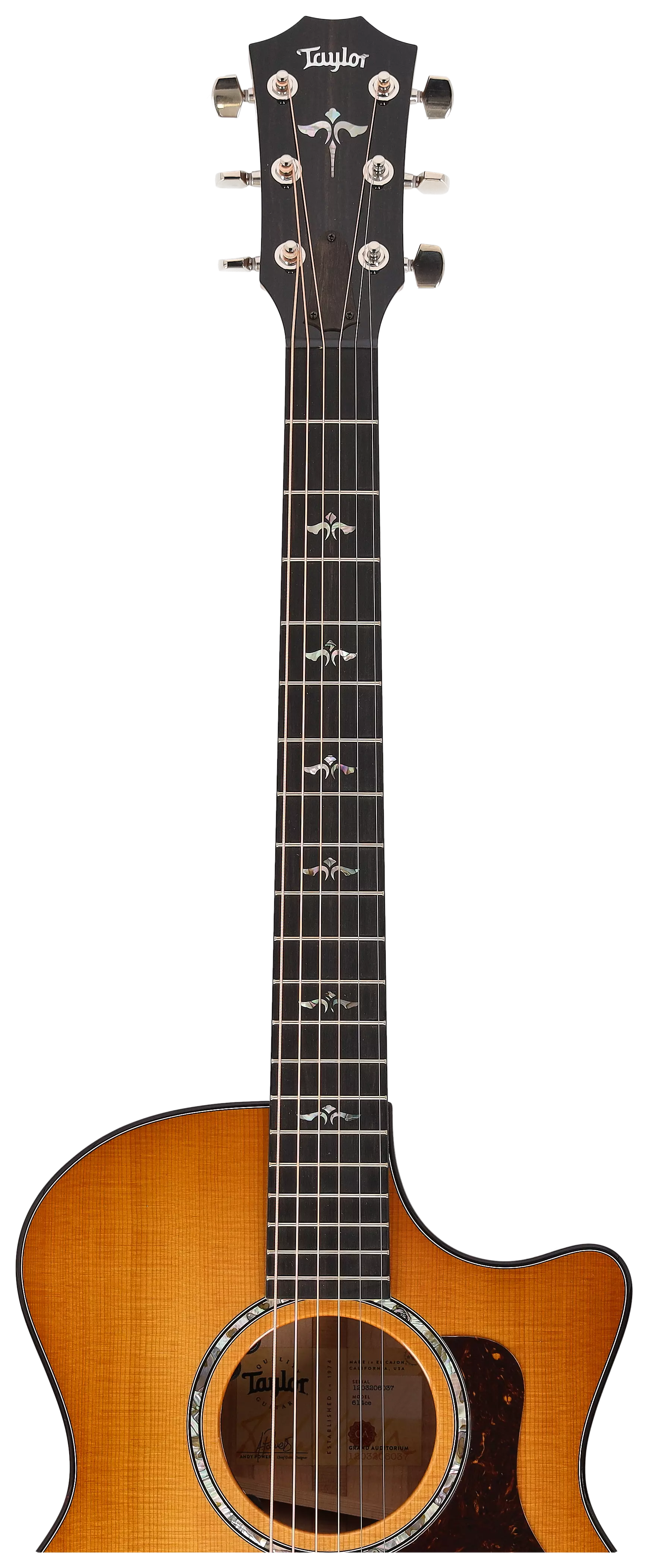 Taylor 614ce Next Generation 9