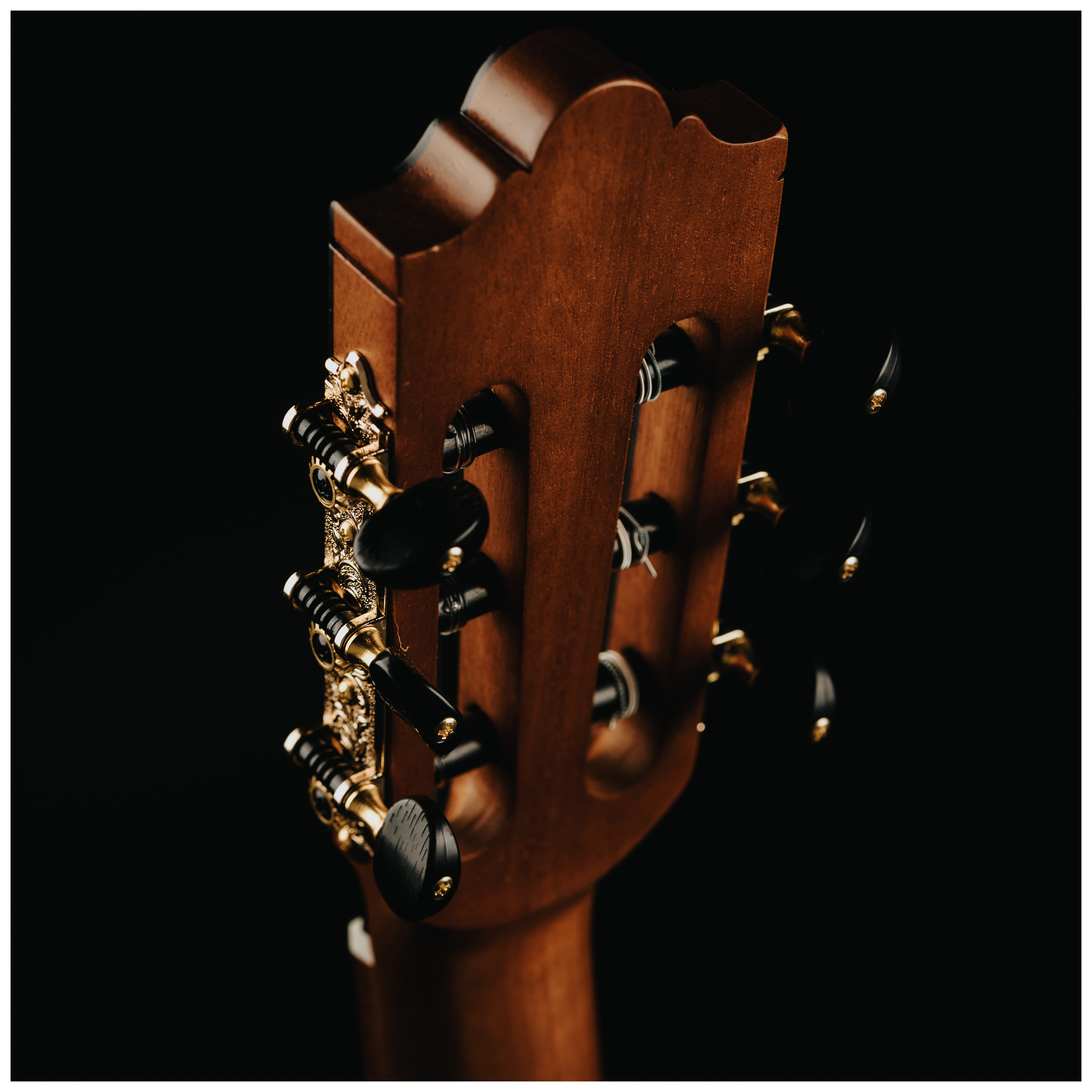 Redwood Cantora Plus 4/4 SM Satin Black 33
