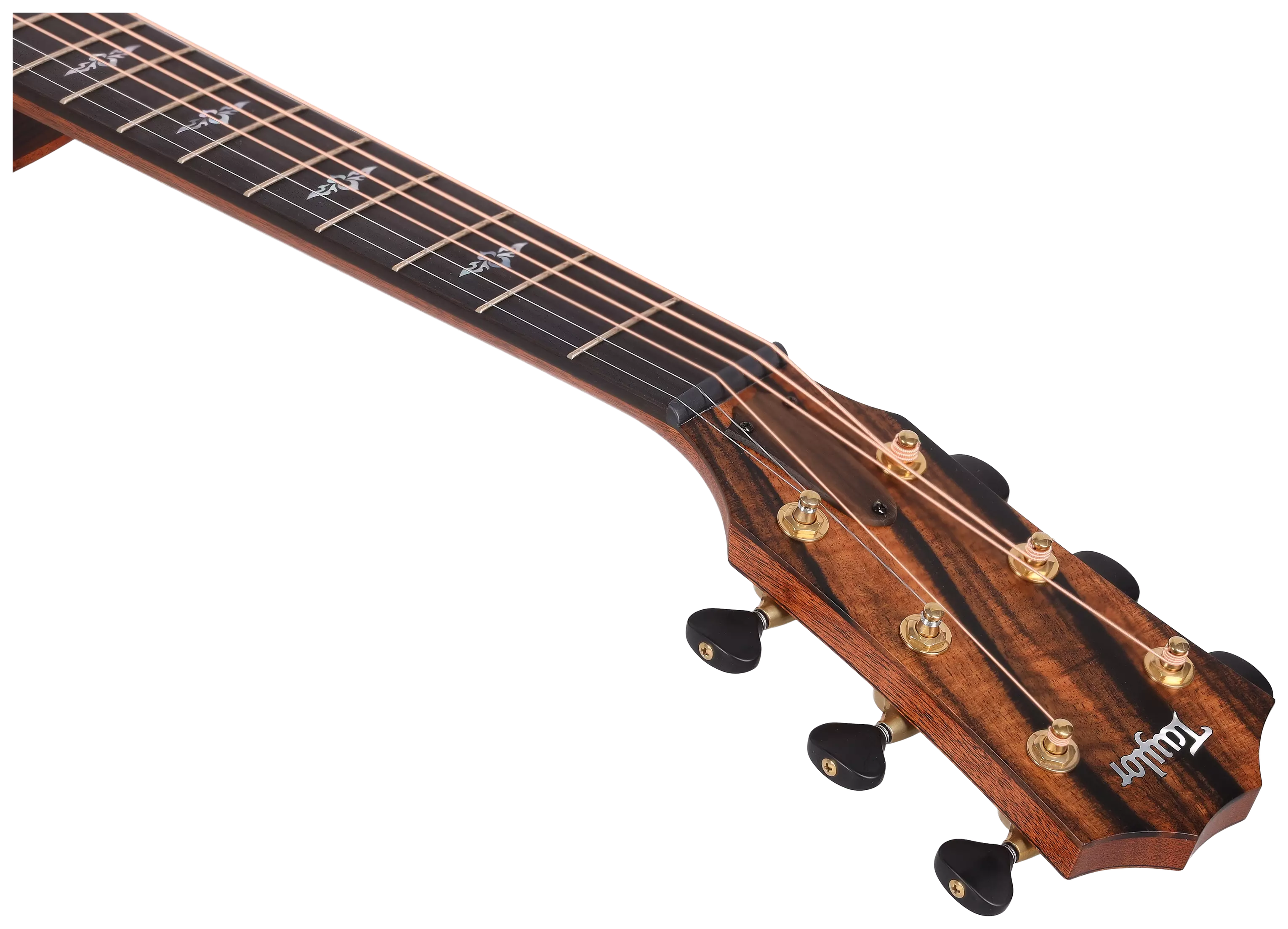 Taylor Custom GA C14ce Rosewood/Torrefied Sitka #6 14