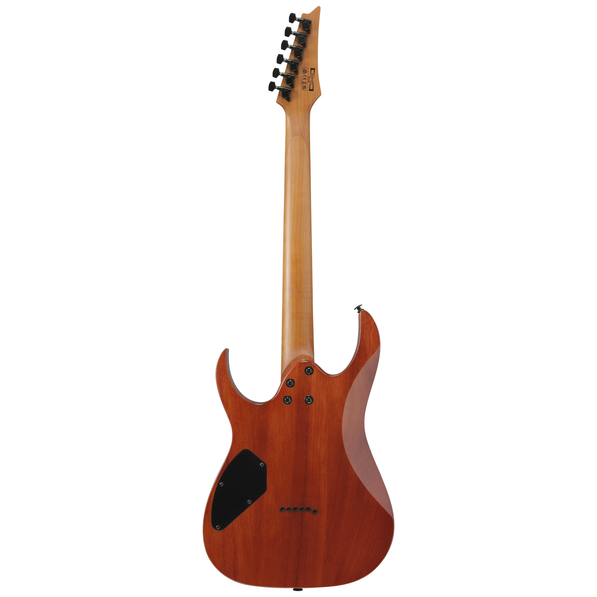 Ibanez GRGR221FA-TDK 1