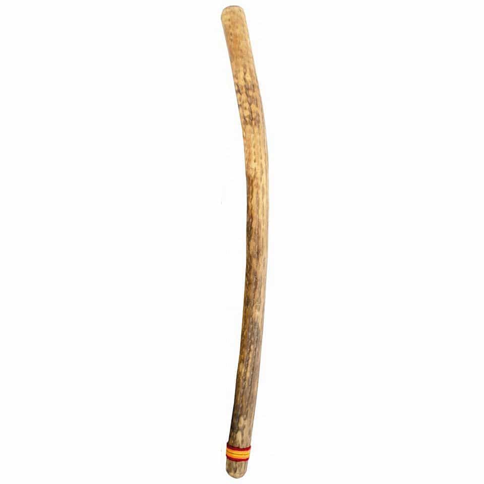  Large Kaktus Rainmaker Thick 100 cm