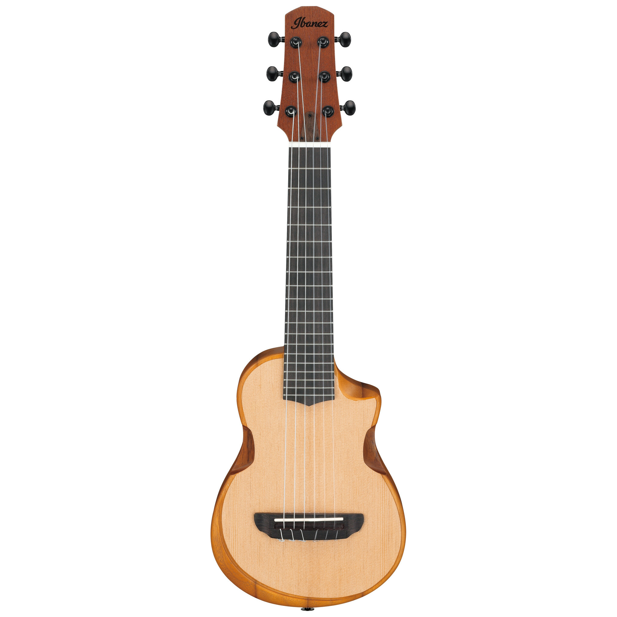 Ibanez AUP10N-OPN