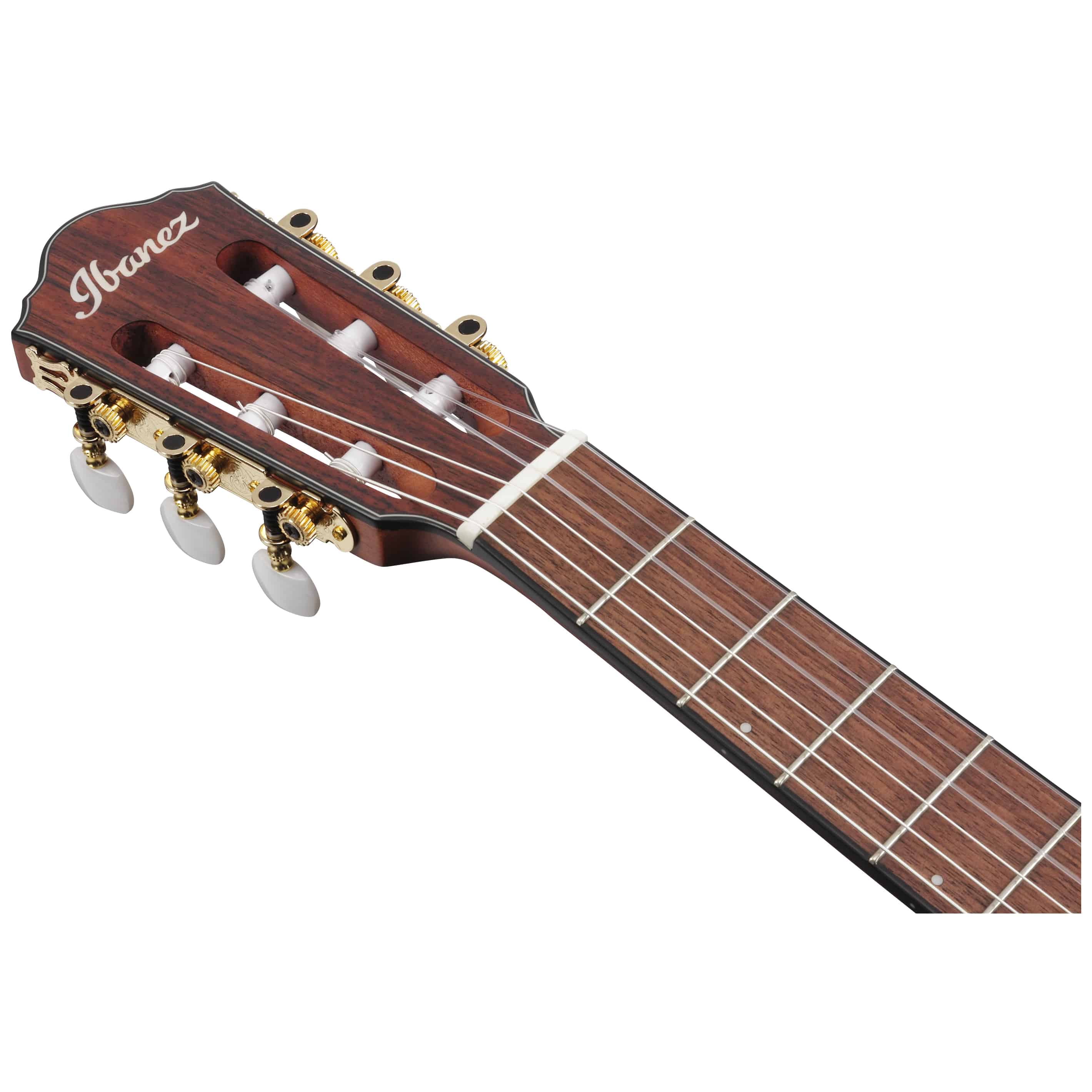 Ibanez FRH10N-IBF 10