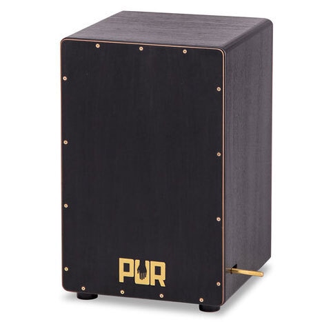 Pur Vision PRO PC 4399 Black & Gold