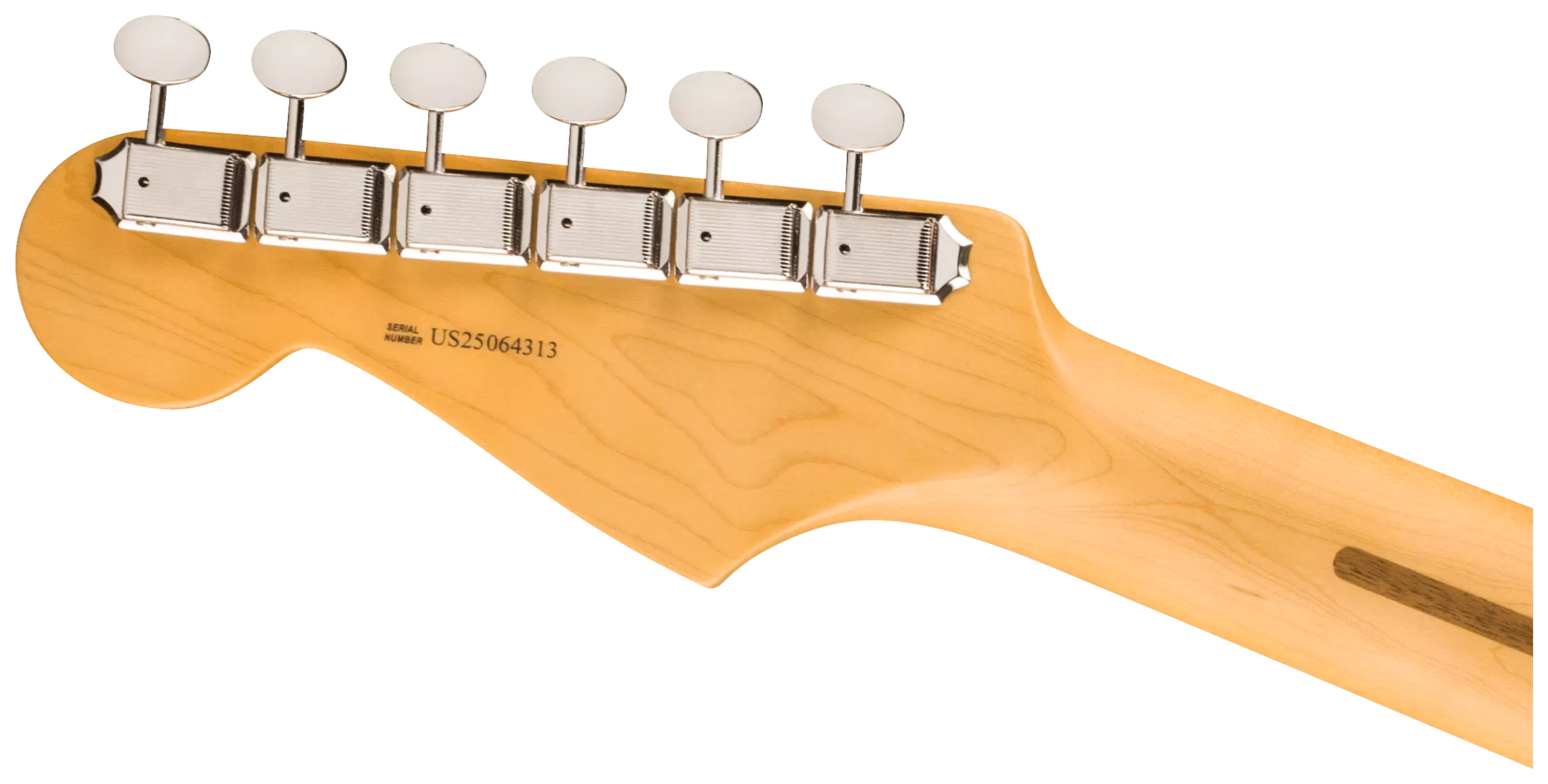 Fender American Pro Classic Stratocaster HSS RW FSGM 6