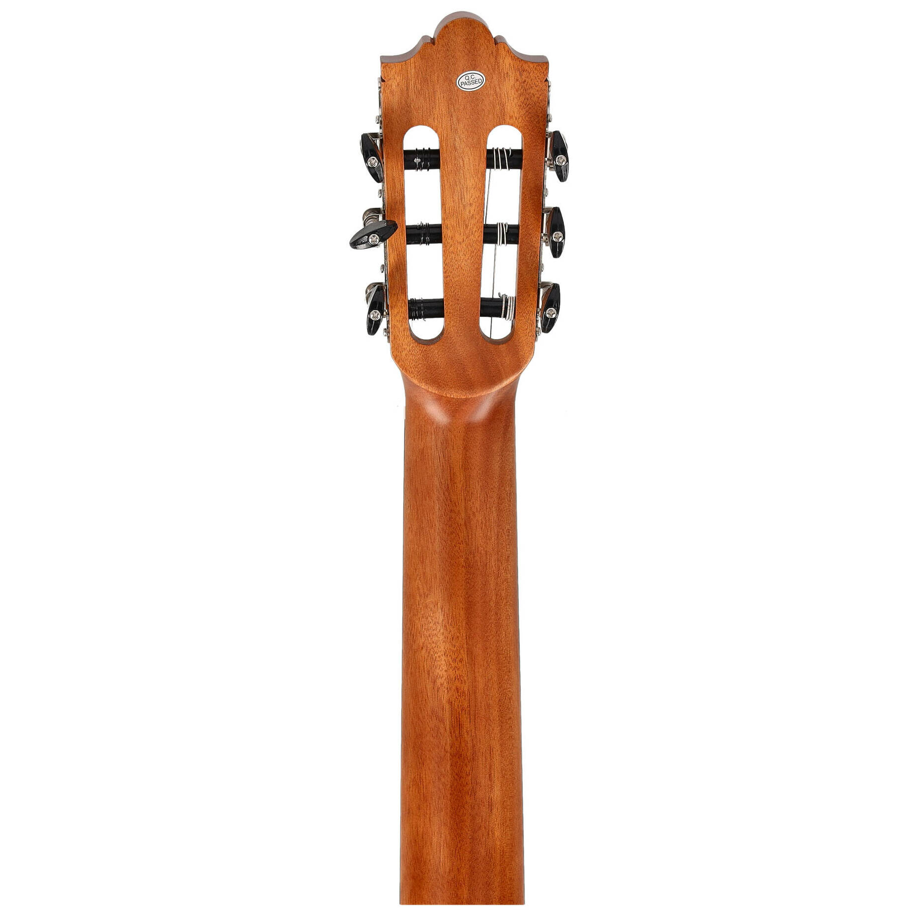 Redwood Student 4/4 6