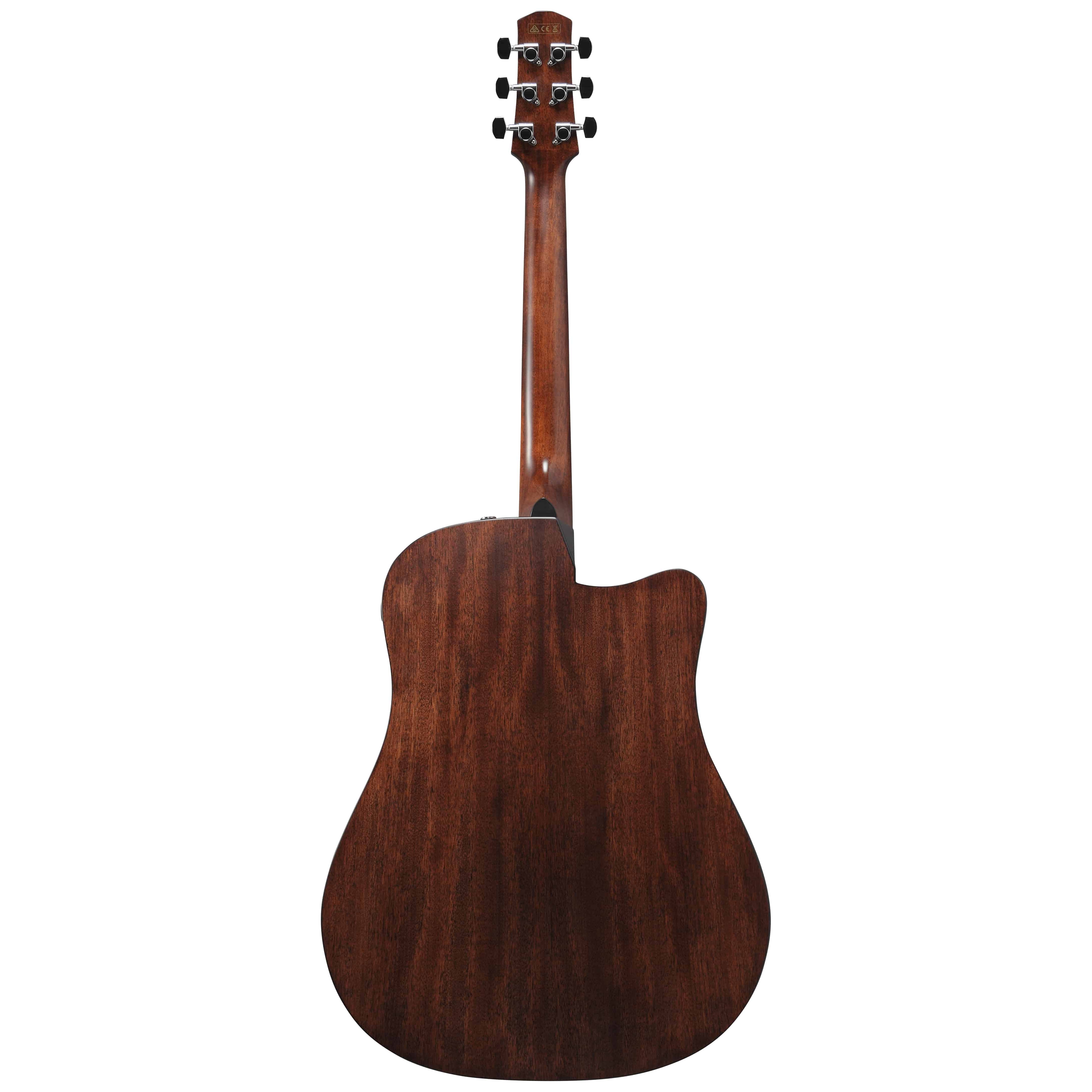 Ibanez AAD170LCE-LGS 1