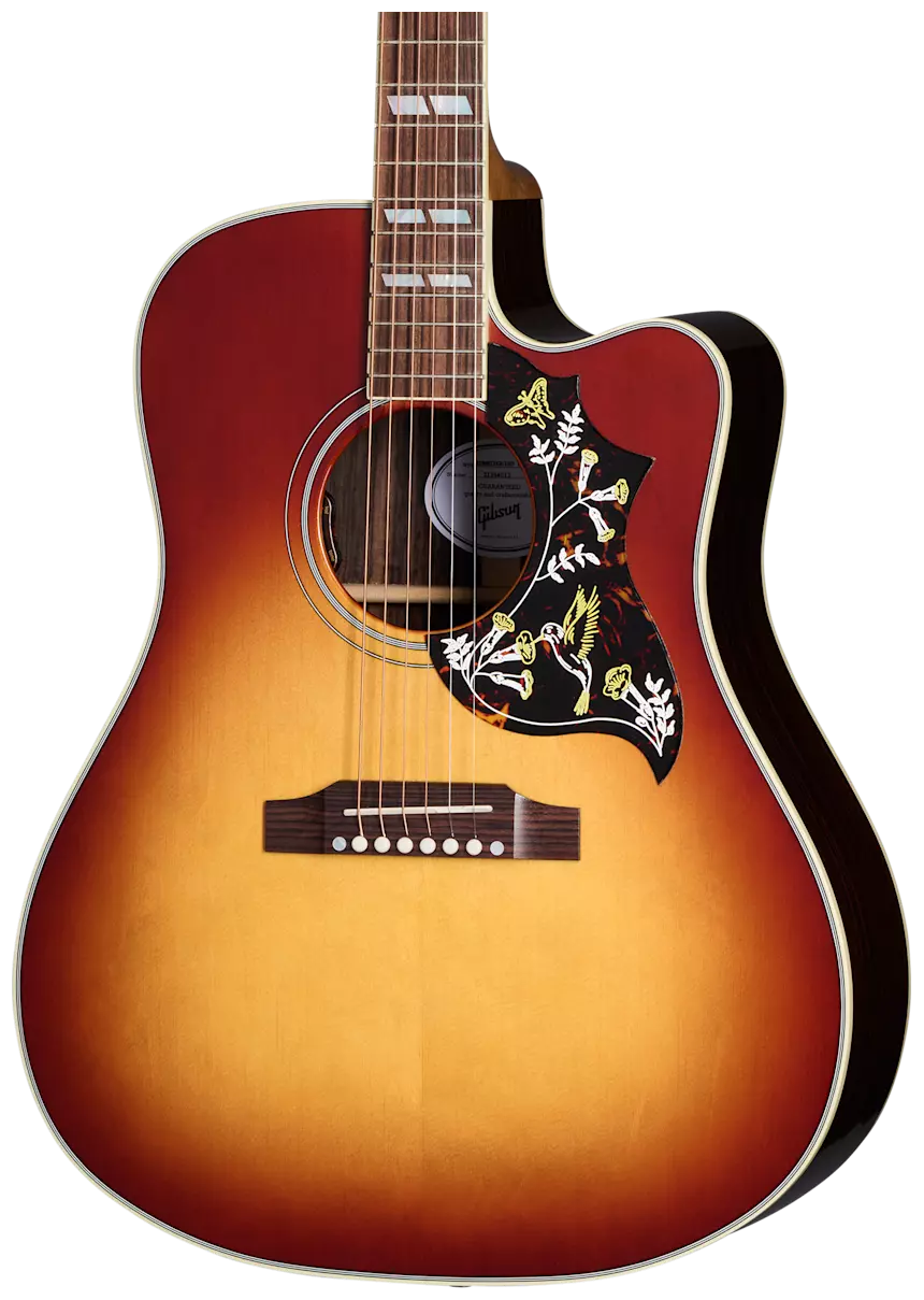  Hummingbird Standard Rosewood EC 1