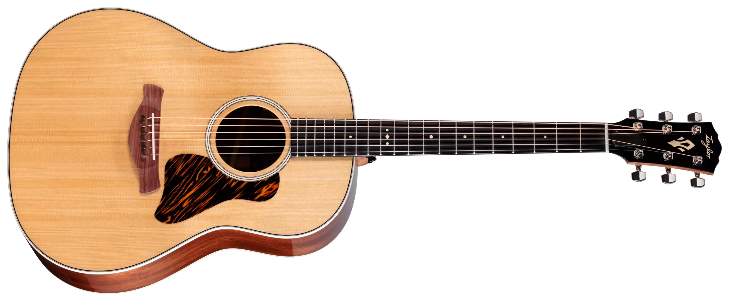 Taylor Gold Label 517e Natural 4
