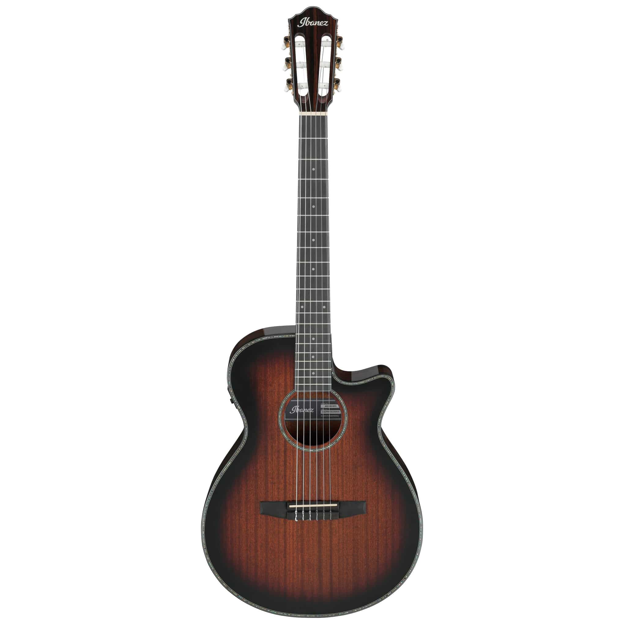 Ibanez AEG74N-MHS