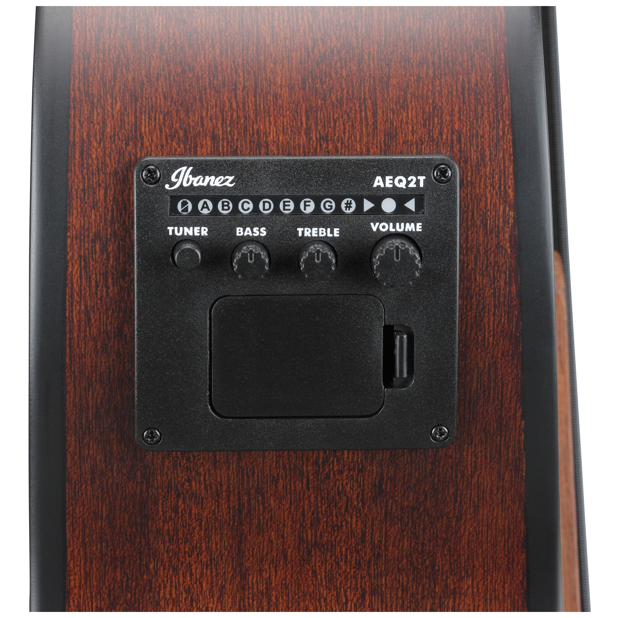 Ibanez AEGB30E-NTG 9