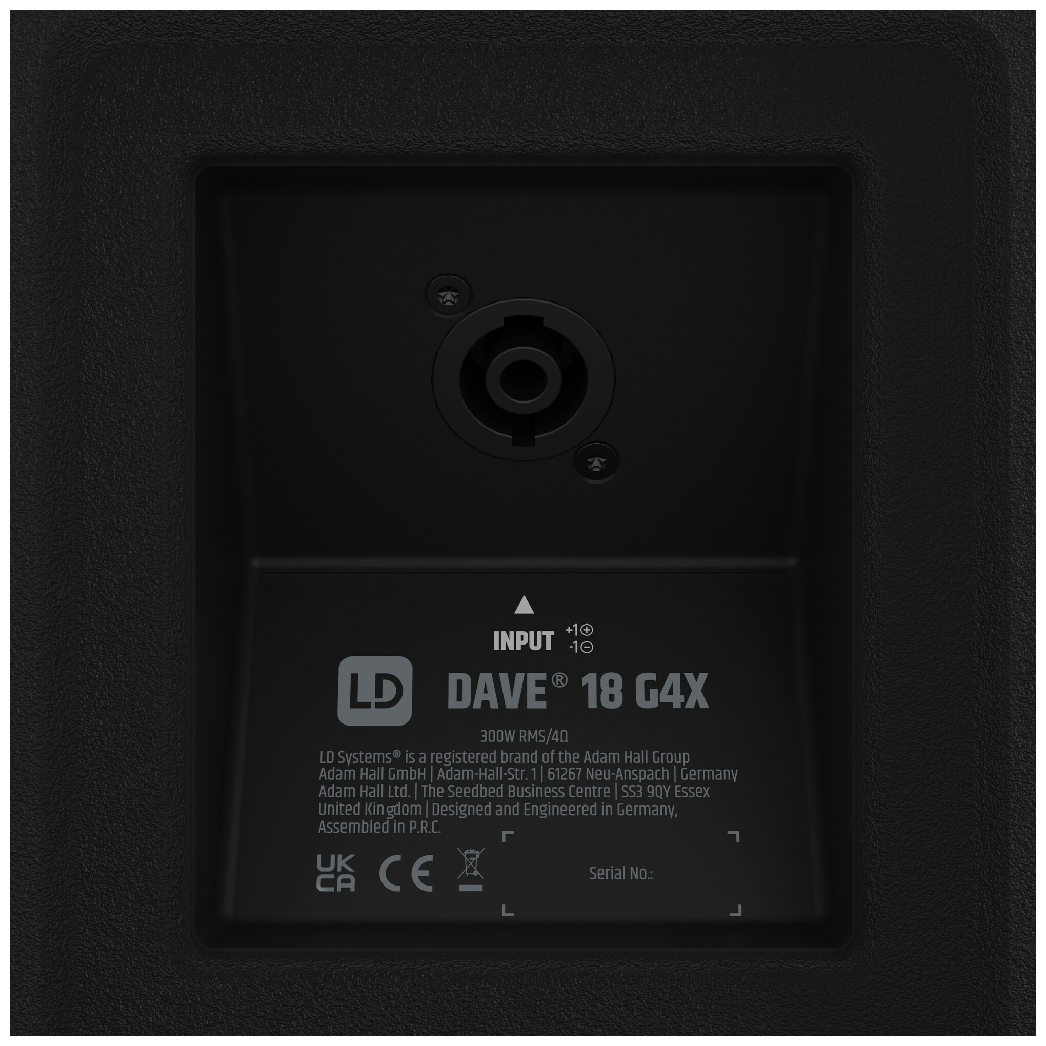 LD Systems Dave 18 G4X 8