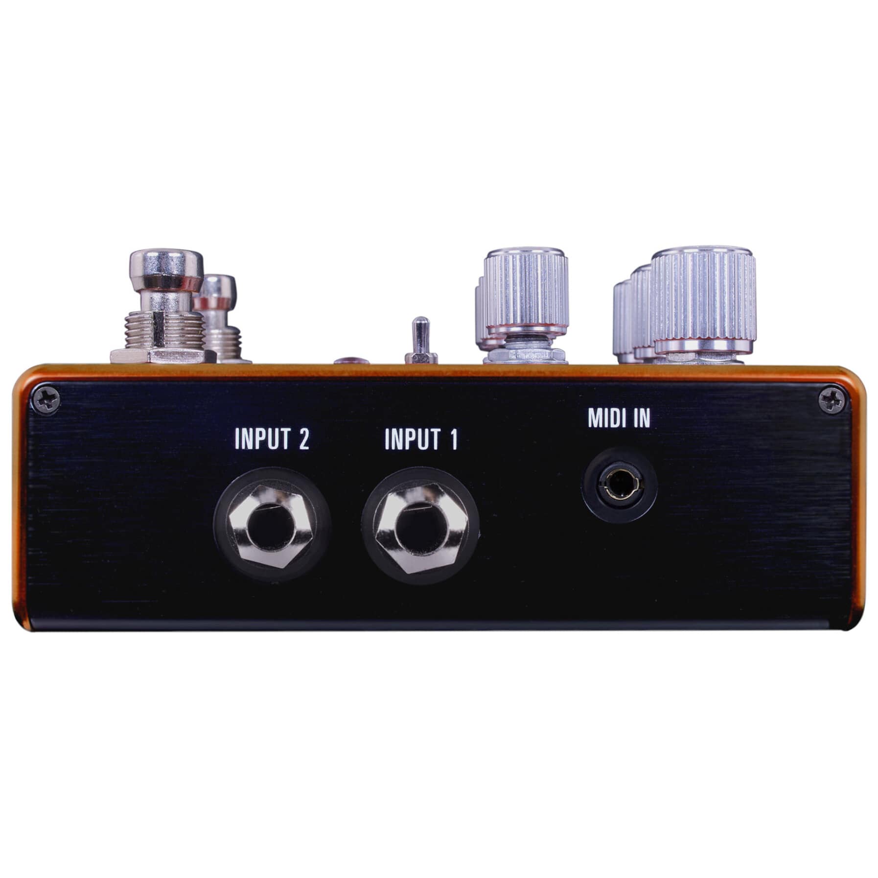 Source Audio SA 281 - Pathways Reverb & Tremolo 2