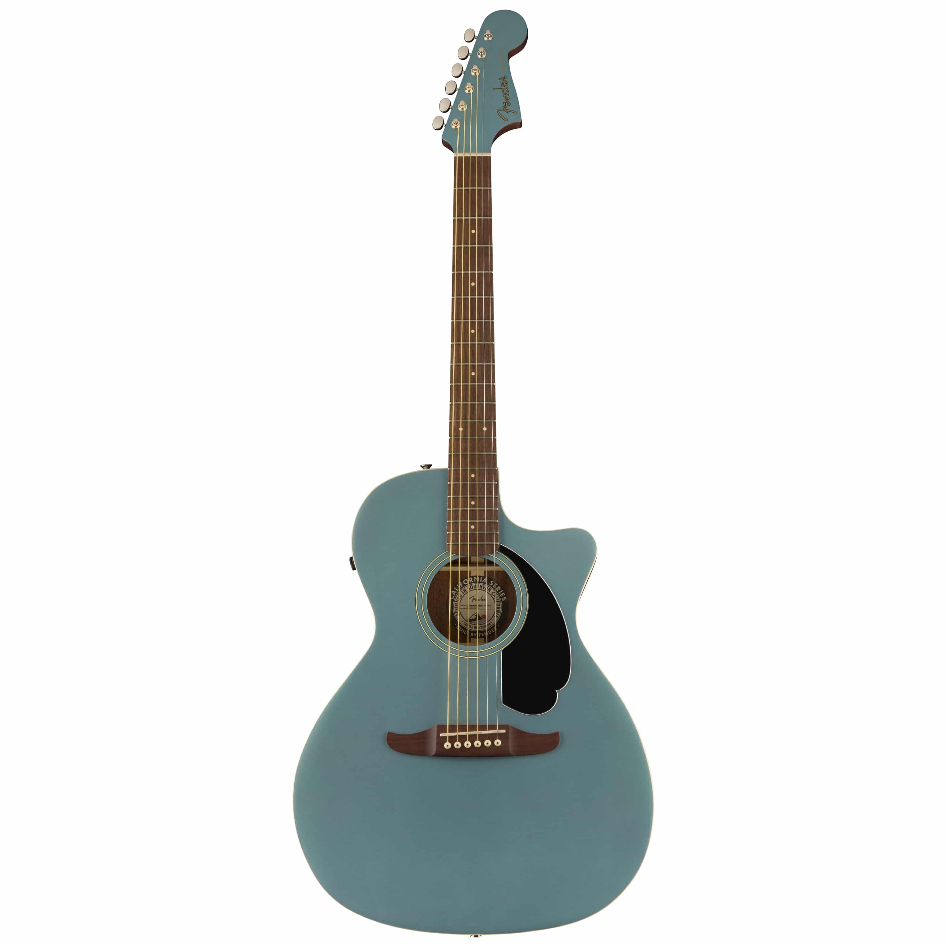 Fender Newporter Player TPL 1