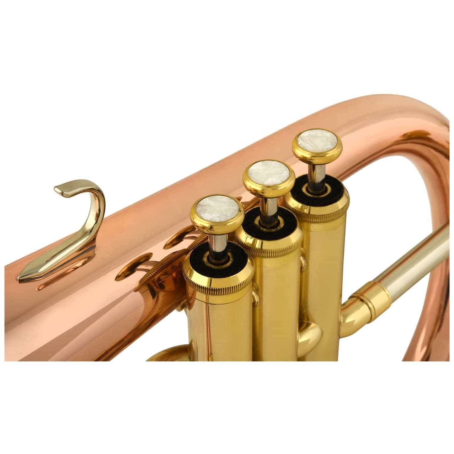Chicago Winds - Chicago Winds CC-FH4100L Flügelhorn - 2