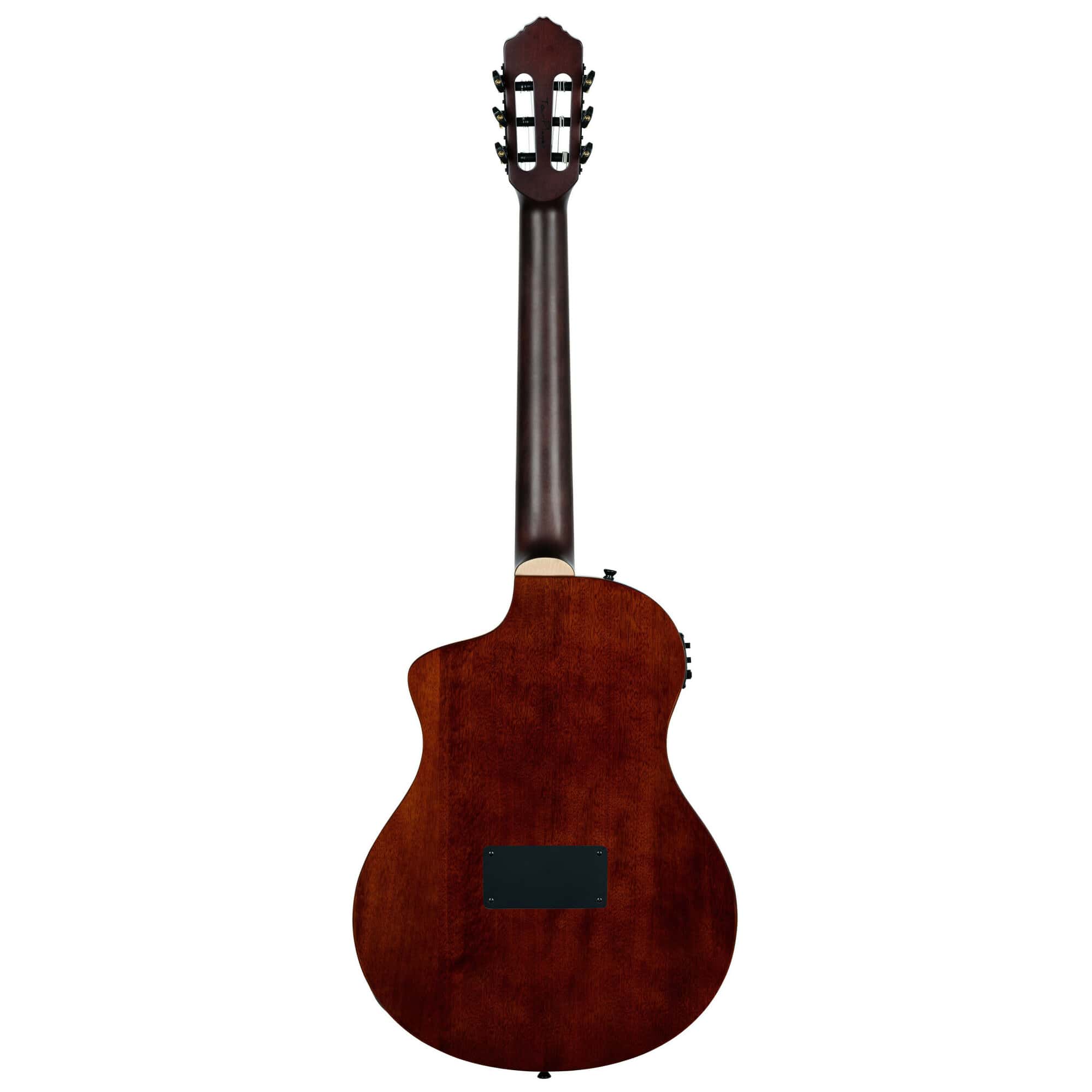 Ortega Tour Player RTPDLX-ACA 1