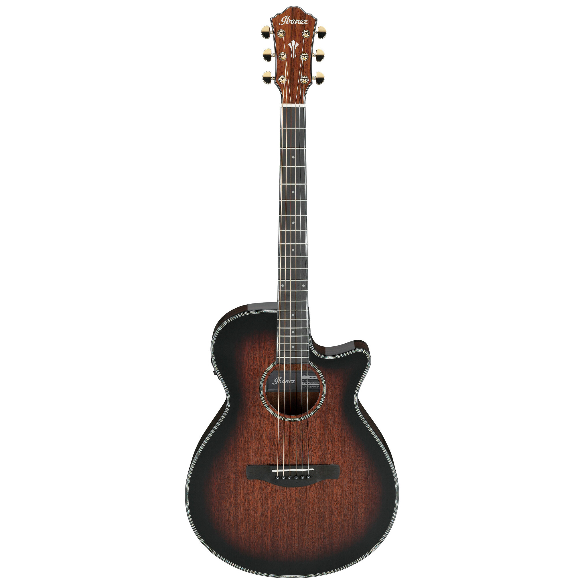 Ibanez AEG74-MHS