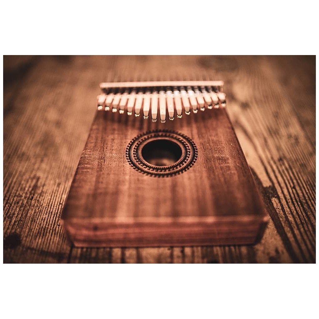 Meinl Sonic Energy - Meinl Sonic Energy KL1707H - Sound Hole Kalimba, 17 notes, acacia - 8
