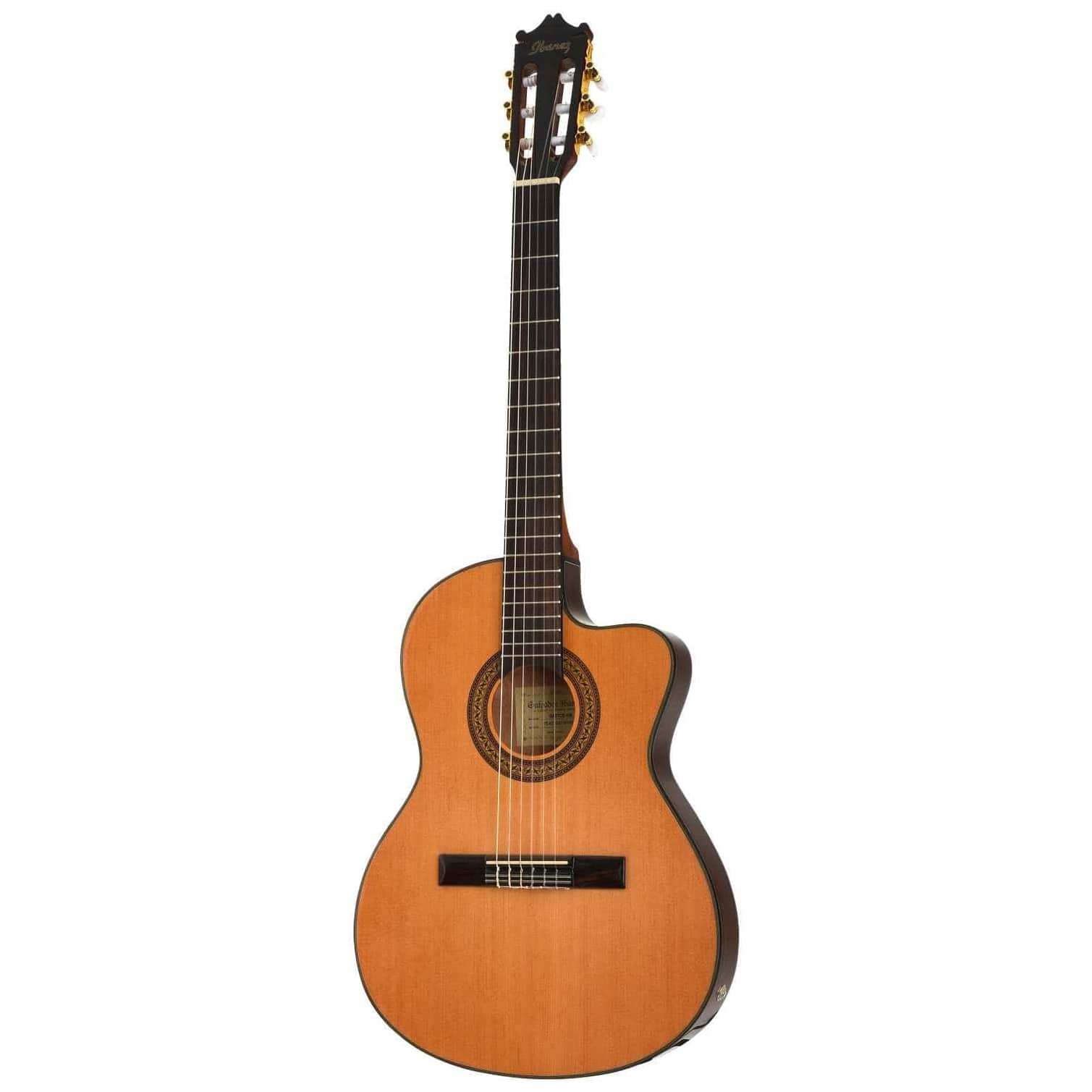 Ibanez - Ibanez GA5TCE-AM