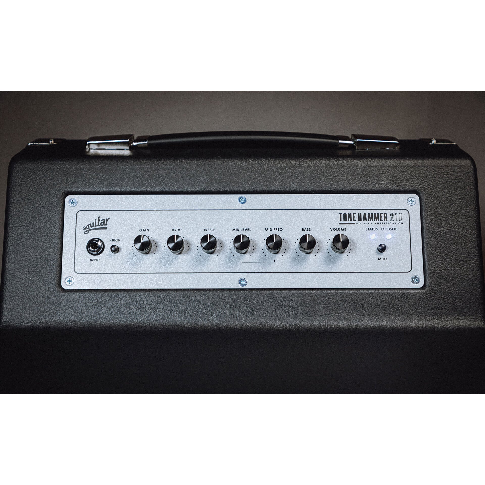 Aguilar Tonehammer 210 Combo 2