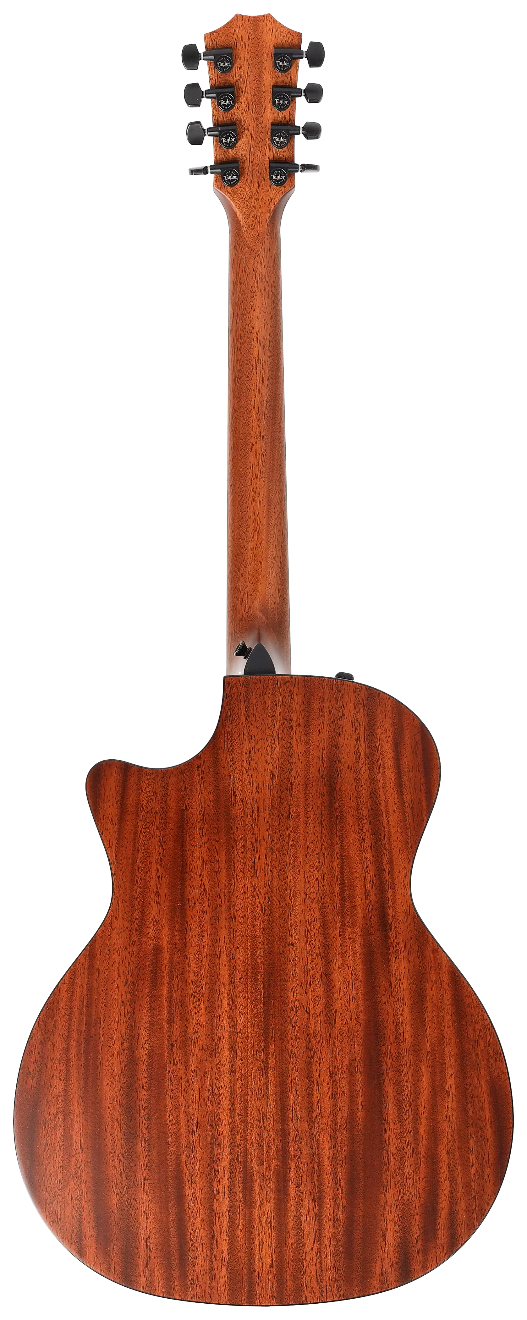 Taylor 324ce Baritone-8 LTD 2
